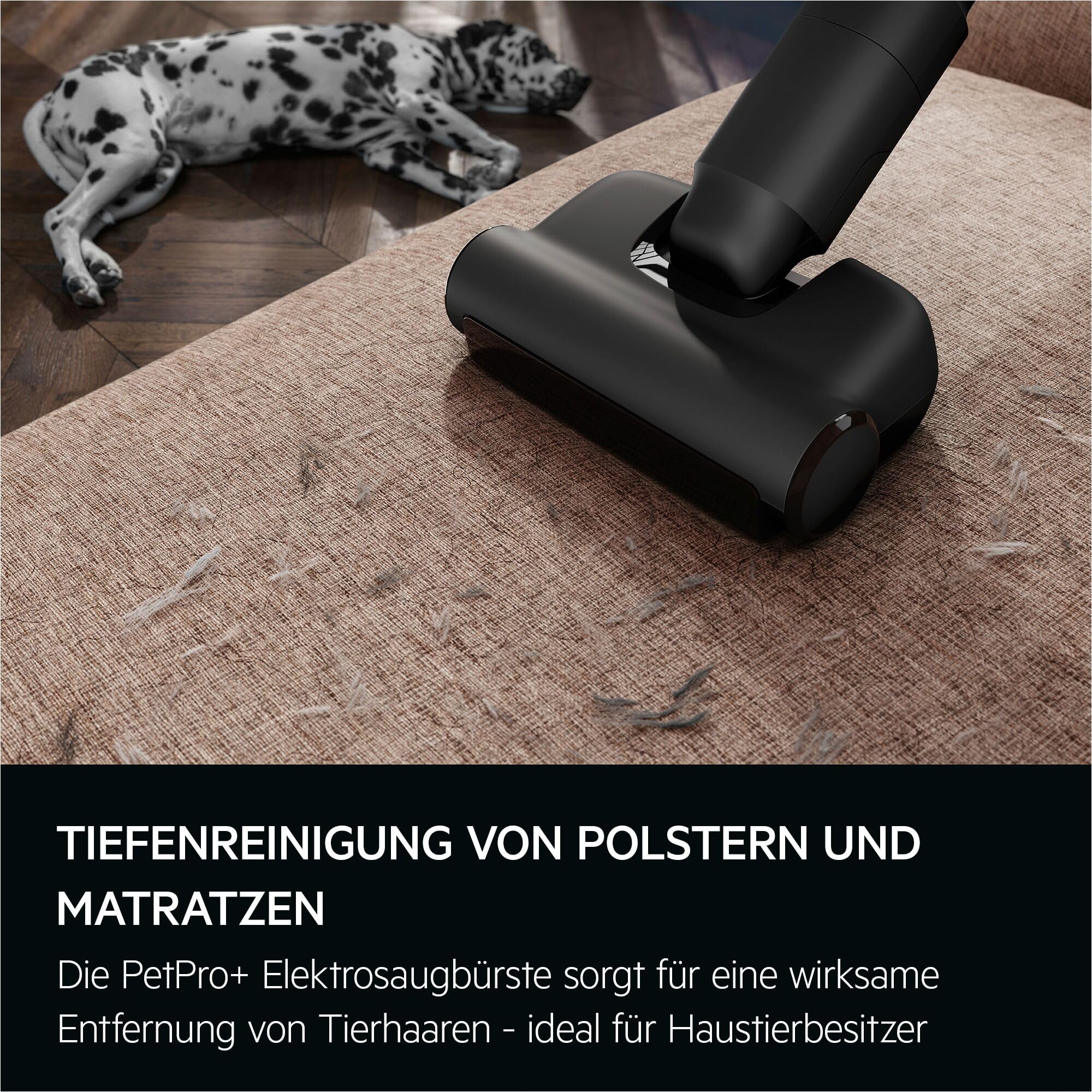 AEG Ultimate 8000 Akku Staubsauger mit Absaugstation, von Stiftung Warentest mit GUT (2,5), Auto‑Modus, 5‑Stufen‑Filtration, für Hartboden, Teppich, 25V Akku wechselbar, 400 ml, Dunkelgrau, AP83AB25DG