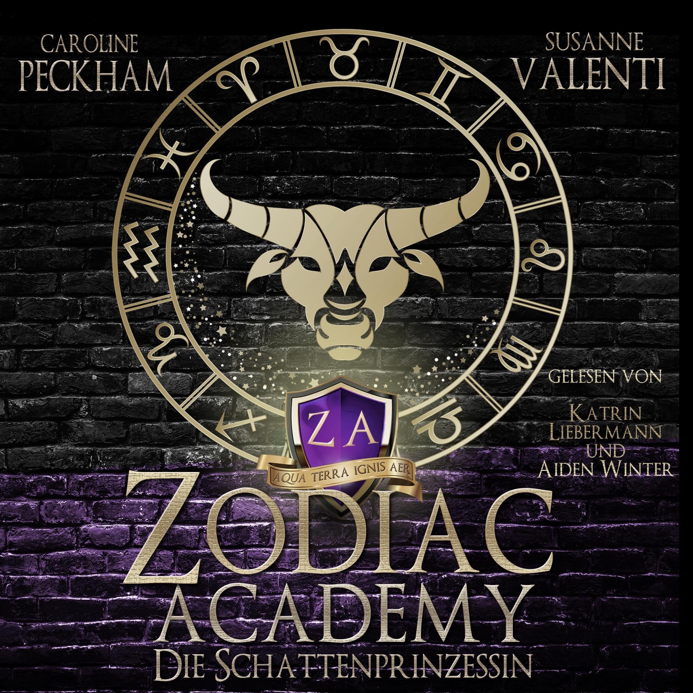 Cover art for Zodiac Academy 4: Die Schattenprinzessin