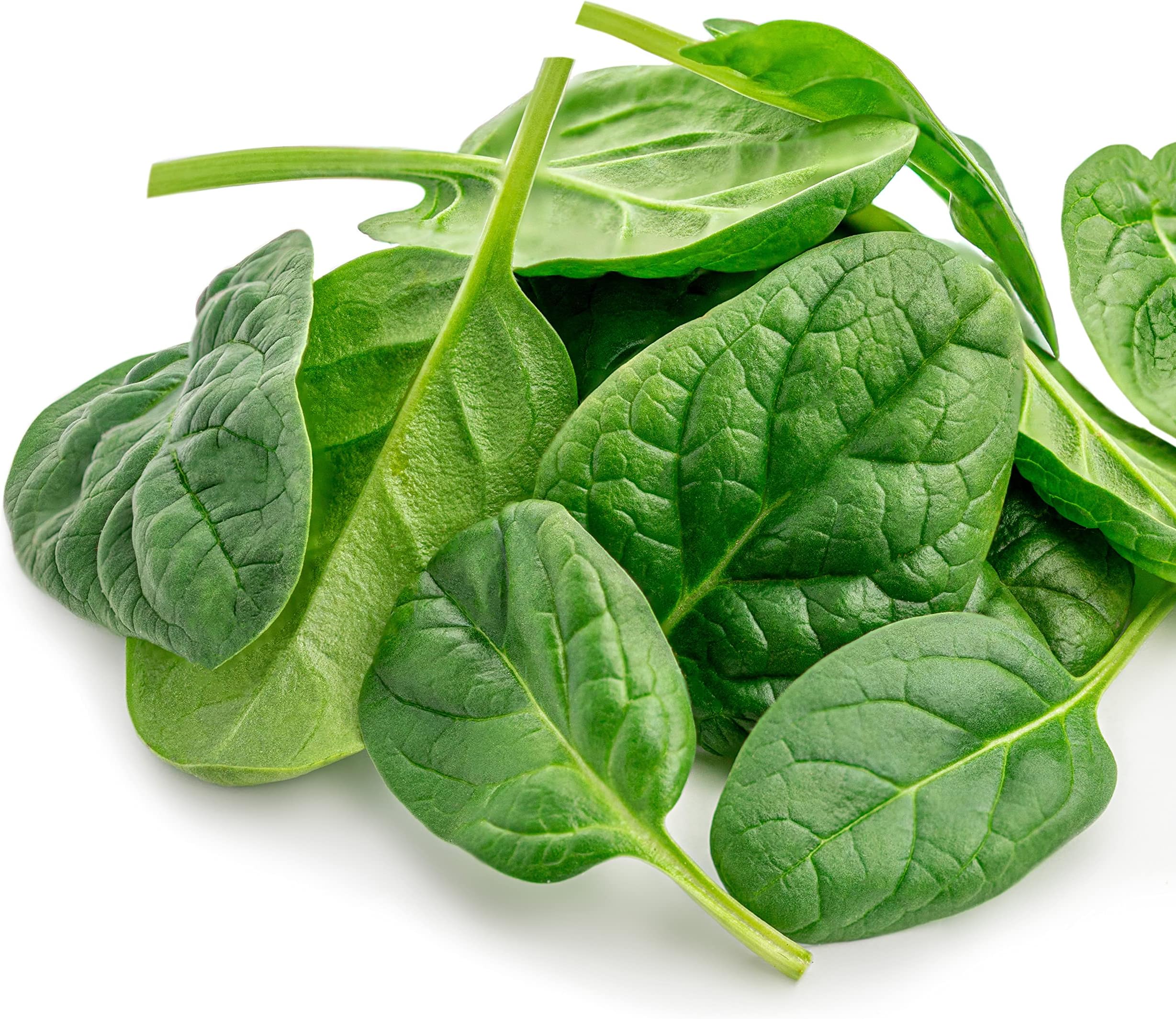 Fresh Baby Spinach Hydroponically grown (approx)100 pack