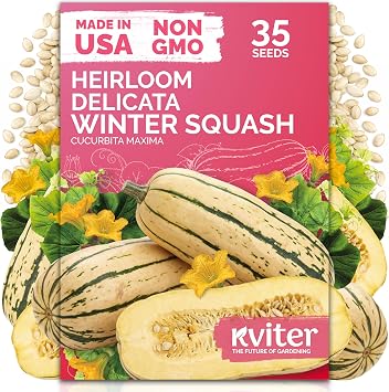 35 Delicata Winter Squash Heirloom Vegetable Seeds, Cucurbita Maxima