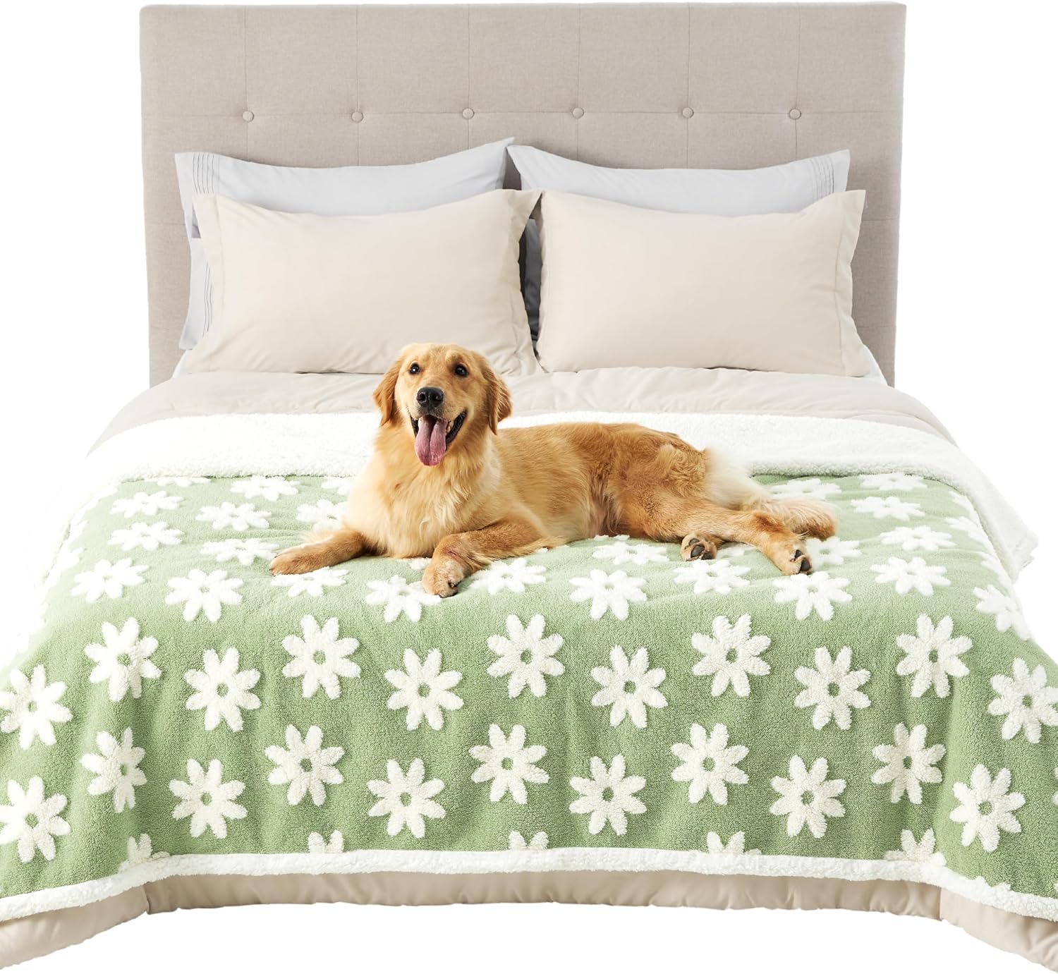 LE SURE Waterproof Dog Blanket for Large Dogs - Washable Double Sided Dog Blankets with Warm Jacquard Shag and Soft Sherpa Fleece, Pet Cat Blanket for Bed Protection, 3D Textured Cloud, Green