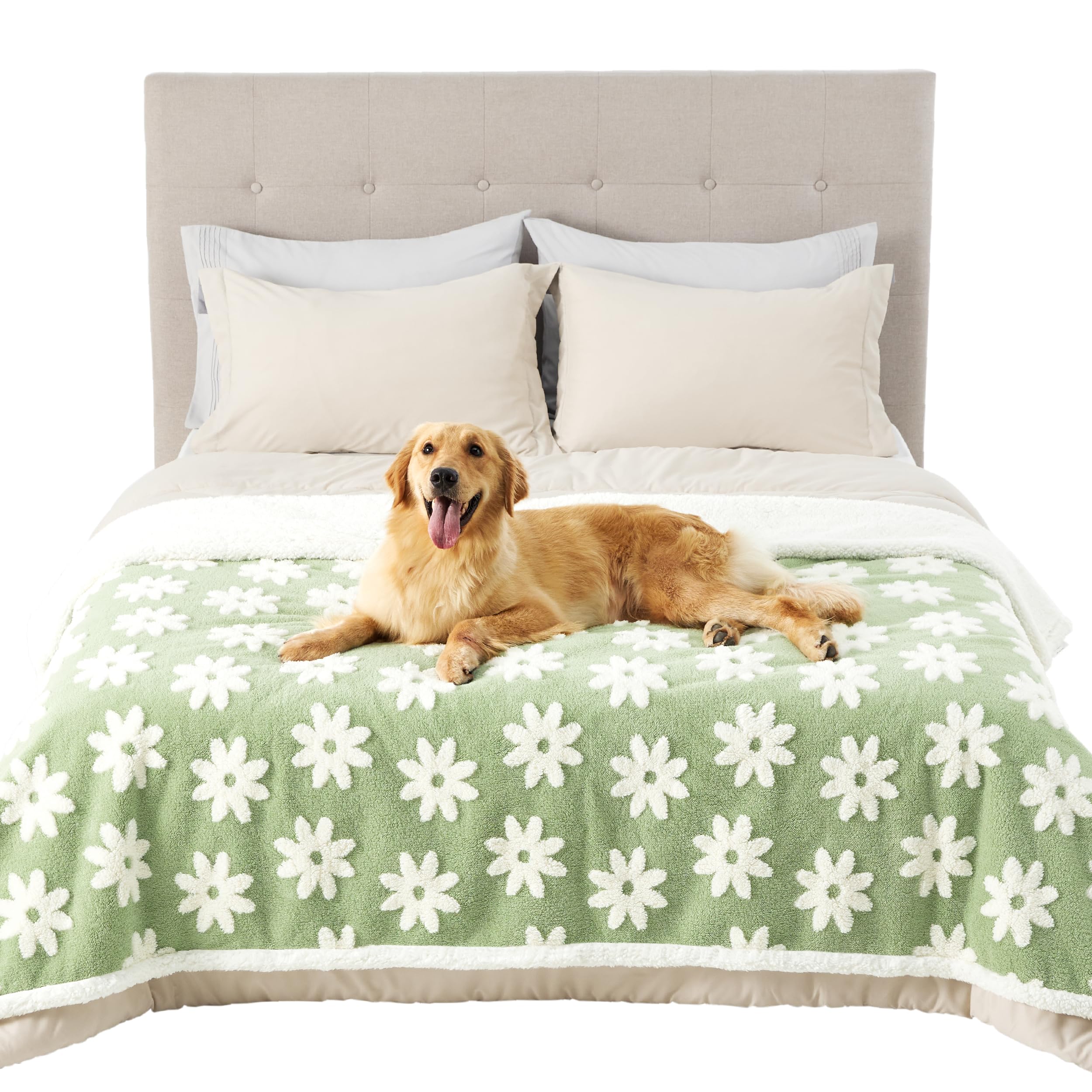 Lesure Waterproof Dog Blanket for Large Dogs - Washable Double Sided Dog Blankets with Warm Jacquard Shag and Soft Sherpa Fleece, Pet Cat Blanket for Bed Protection, 3D Textured Cloud, Green