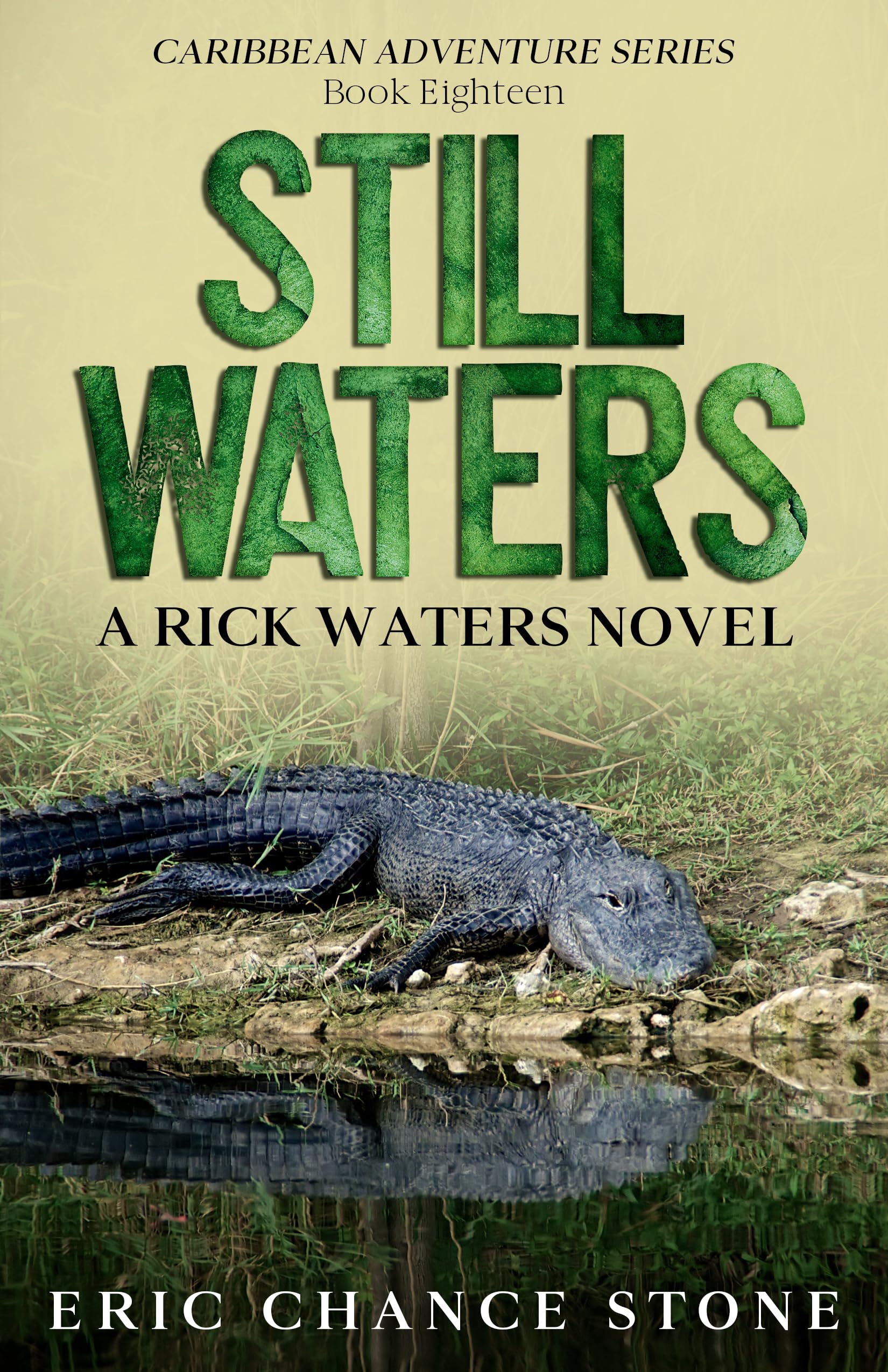 Still Waters: A Rick Waters Novel (Caribbean Adventure Series Book 18)