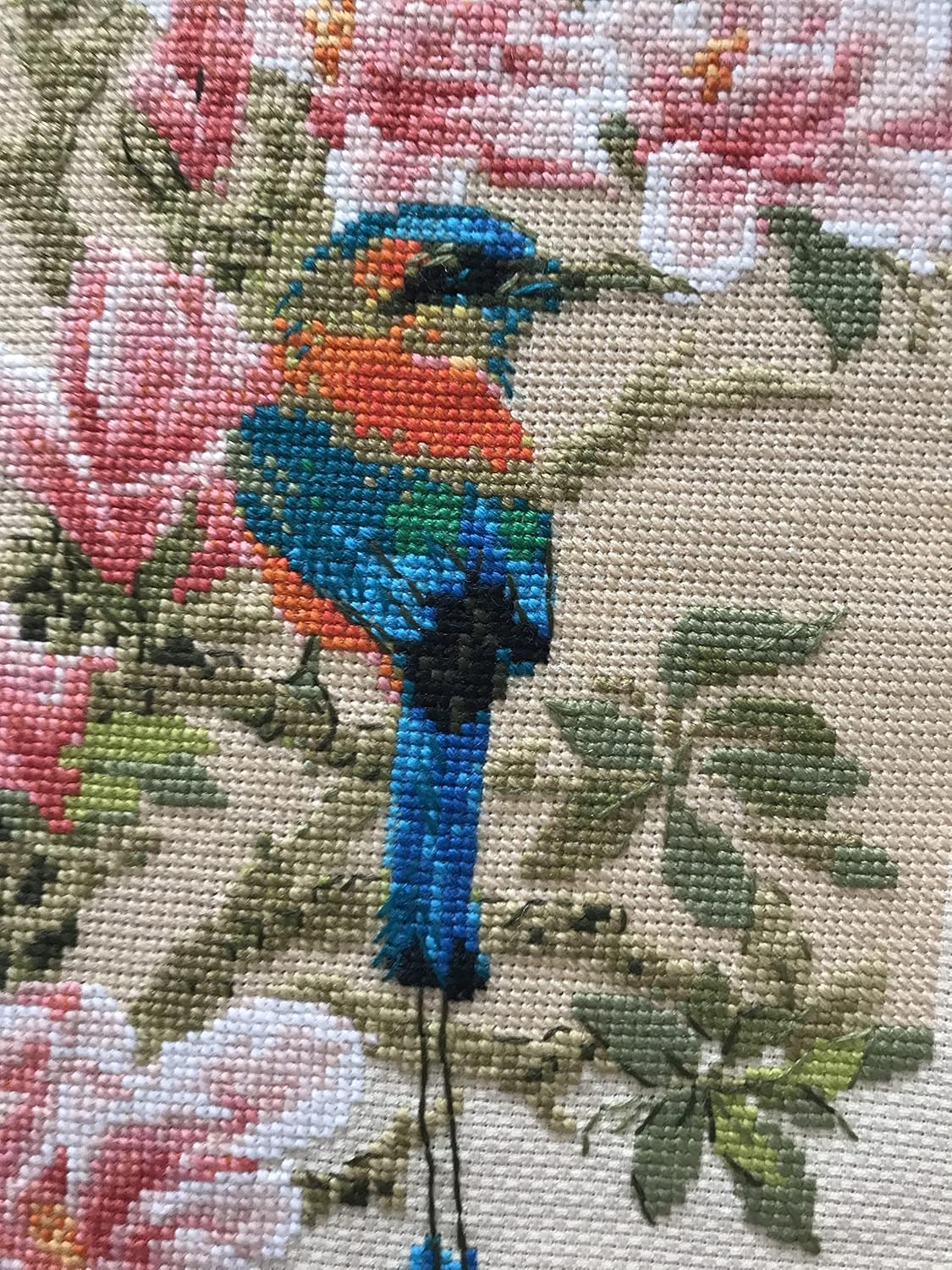 RIOLIS - Tropical Bird 1905, Floral Cross Stitch Kits 7.5"X35.5", Cross Stitch Kits for Beginners & Advanced, Crossstitching Kits Adult, Counted Stitching Kits, Flowers Embroidery Kit