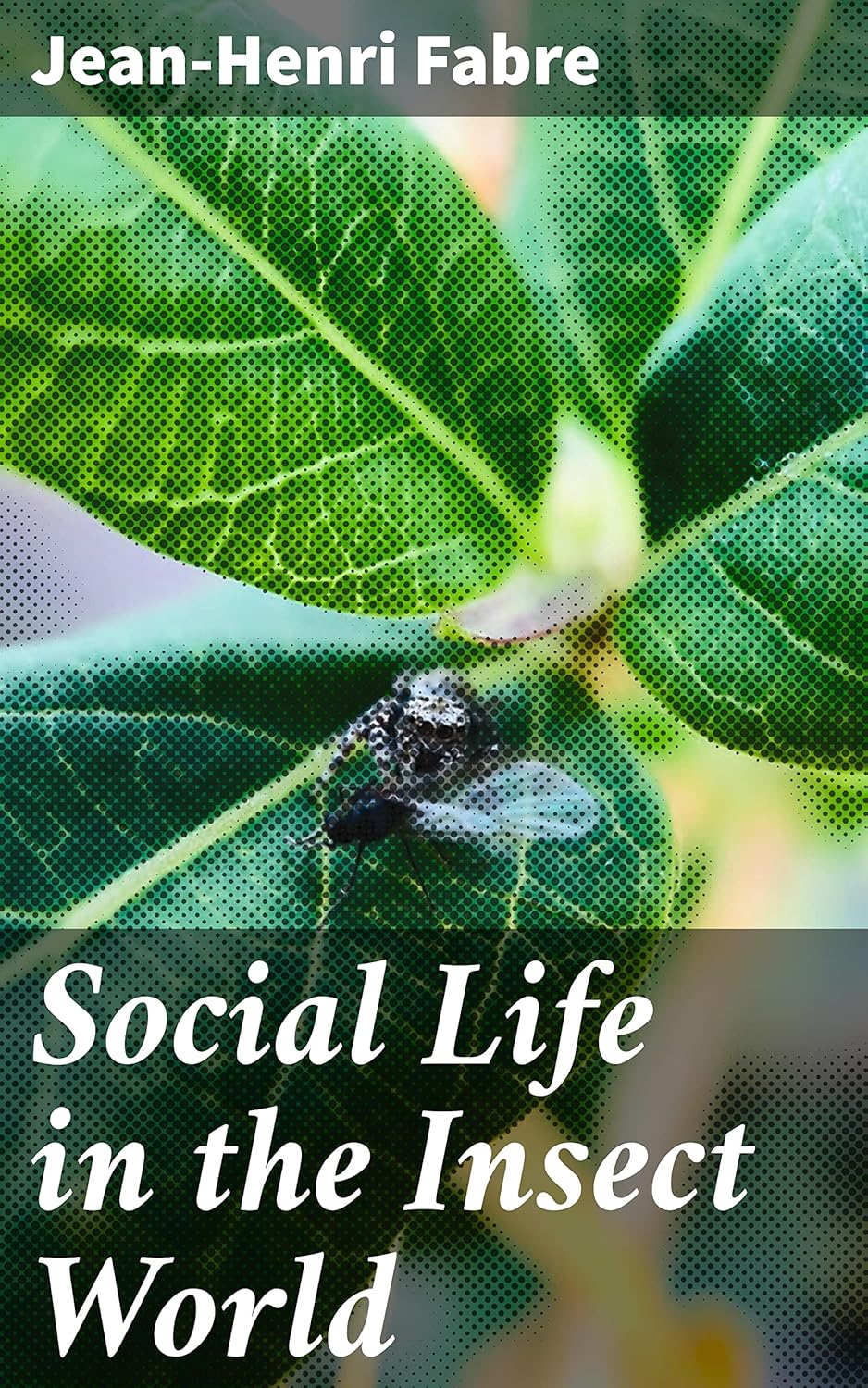 Social Life in the Insect World Kindle edition by Fabre, JeanHenri