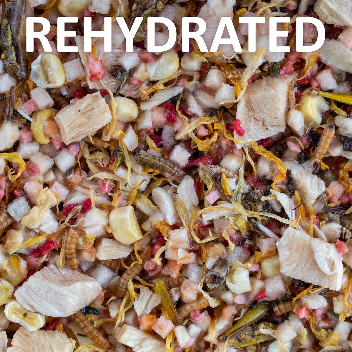 Healthy Herp Box Turtle Food Instant Meal for Reptiles - Nutritious Turtle Food, Tortoise Habitat Accessories, Tortoise Food - Made in USA, Quick Prep - 10.5 oz (310g)