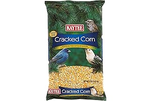 Kaytee Premium Corn Kernels For Sensory Bin