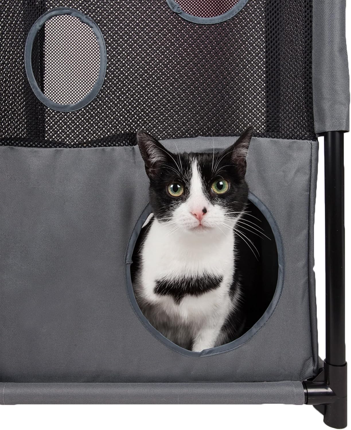 Pet Life ® Kitty-Square Obstacle Soft Folding Sturdy Play-Active Travel Collapsible Travel Pet Cat House Furniture : Pet Supplies