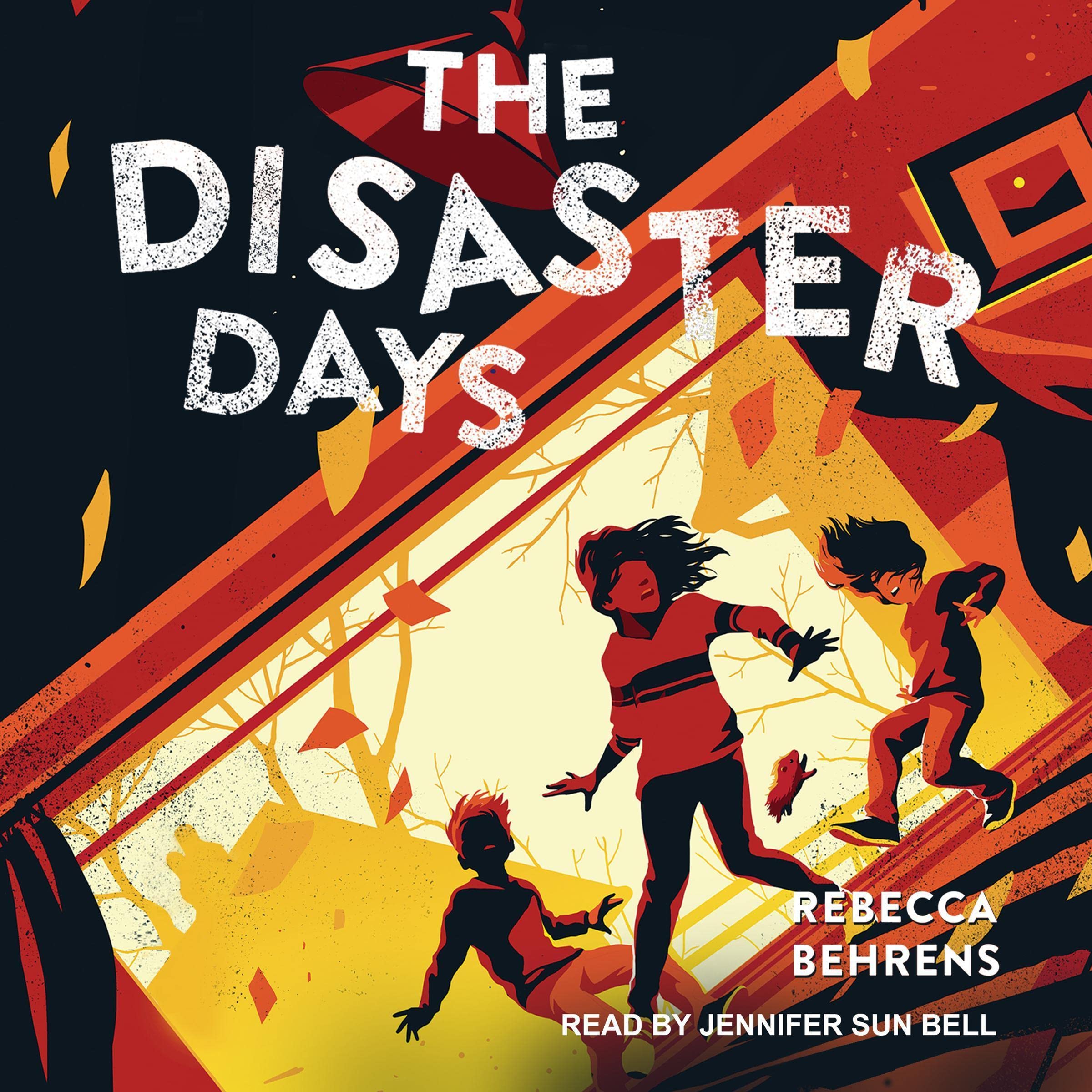 Cover art for The Disaster Days