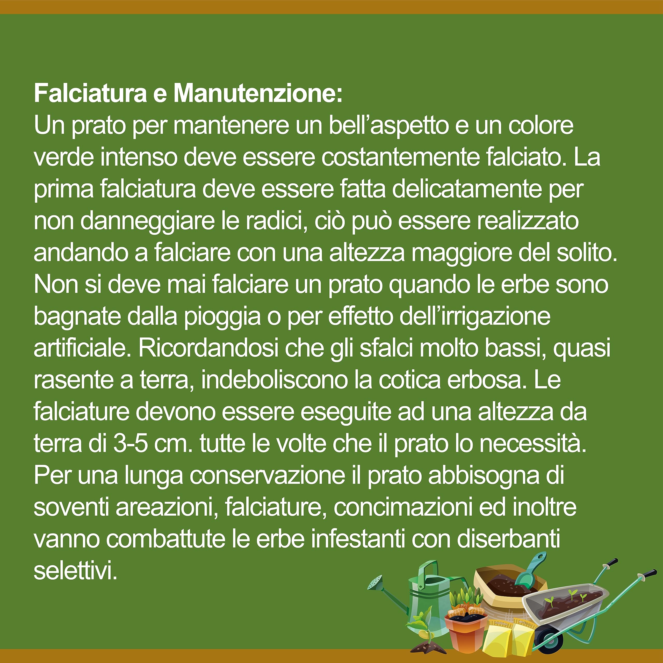 Il Contadino - Antiche Sementi | FESTUCA ARUNDINACEA | Césped, Apto para todos los lugares y tipos de suelo, excelente resistencia a la sequía, al pisado y al sombreado (5 kg)