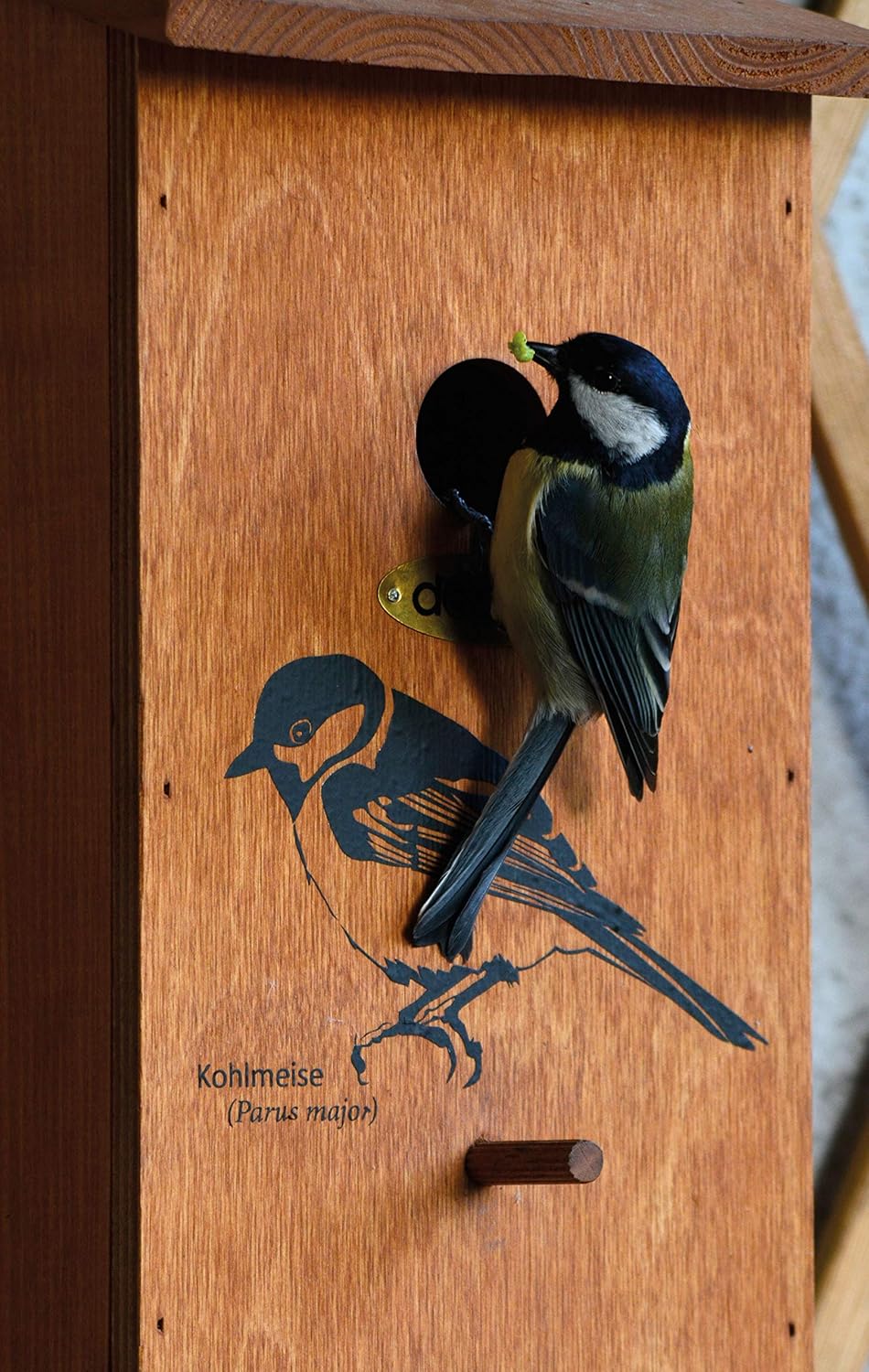 Nesting Box with Screen Printed Motif Great Tit