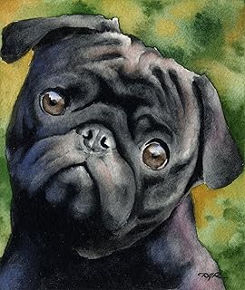 Black Pug Art Print 11 x 14 by Watercolor Artist DJ Rogers