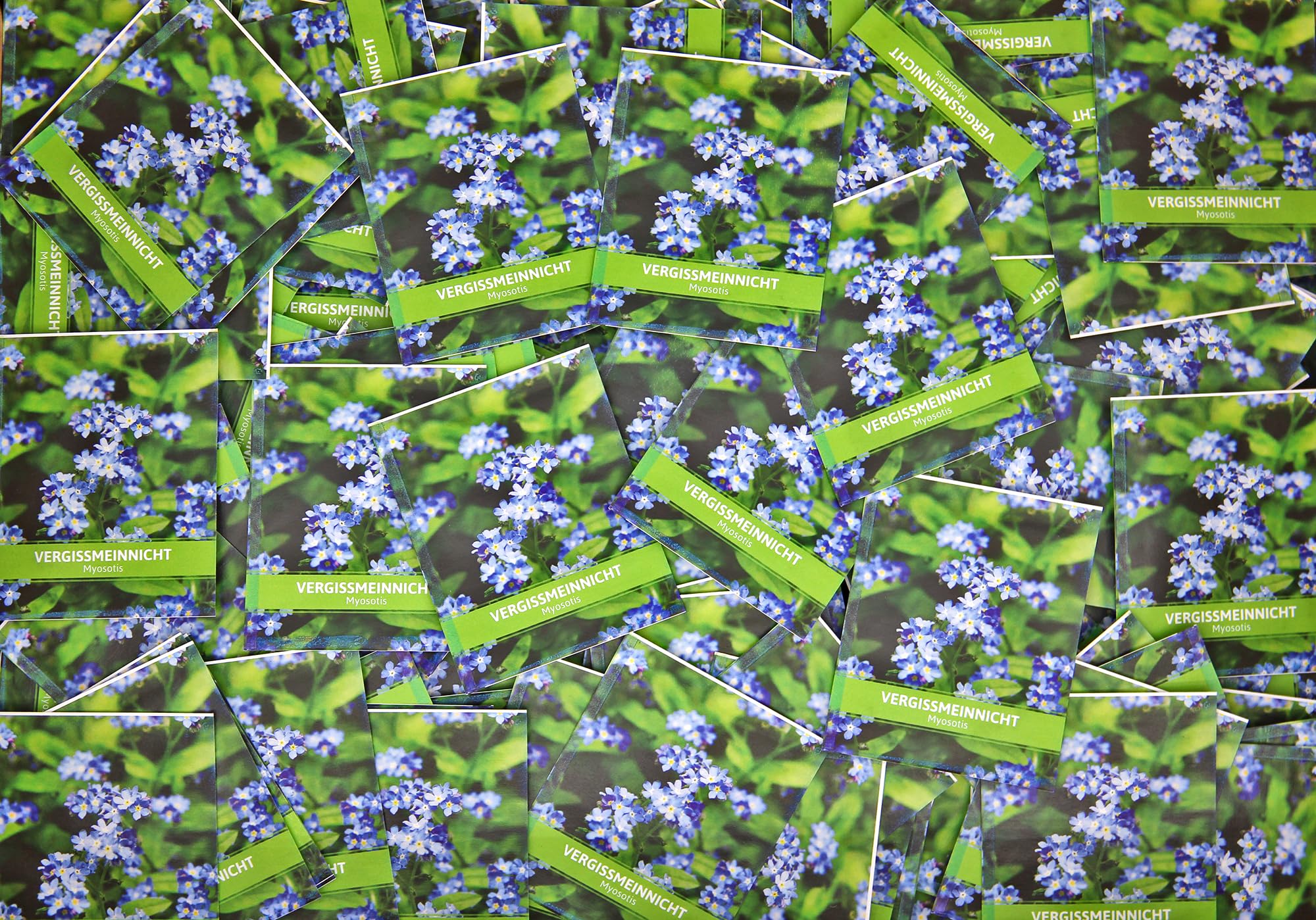 FLORTUS Vergissmeinnicht für Gastgeschenke (500 Tütchen) | Blumensamen perfekt als Dankeschön Geschenke, Werbegeschenke & Gastgeschenke Hochzeit