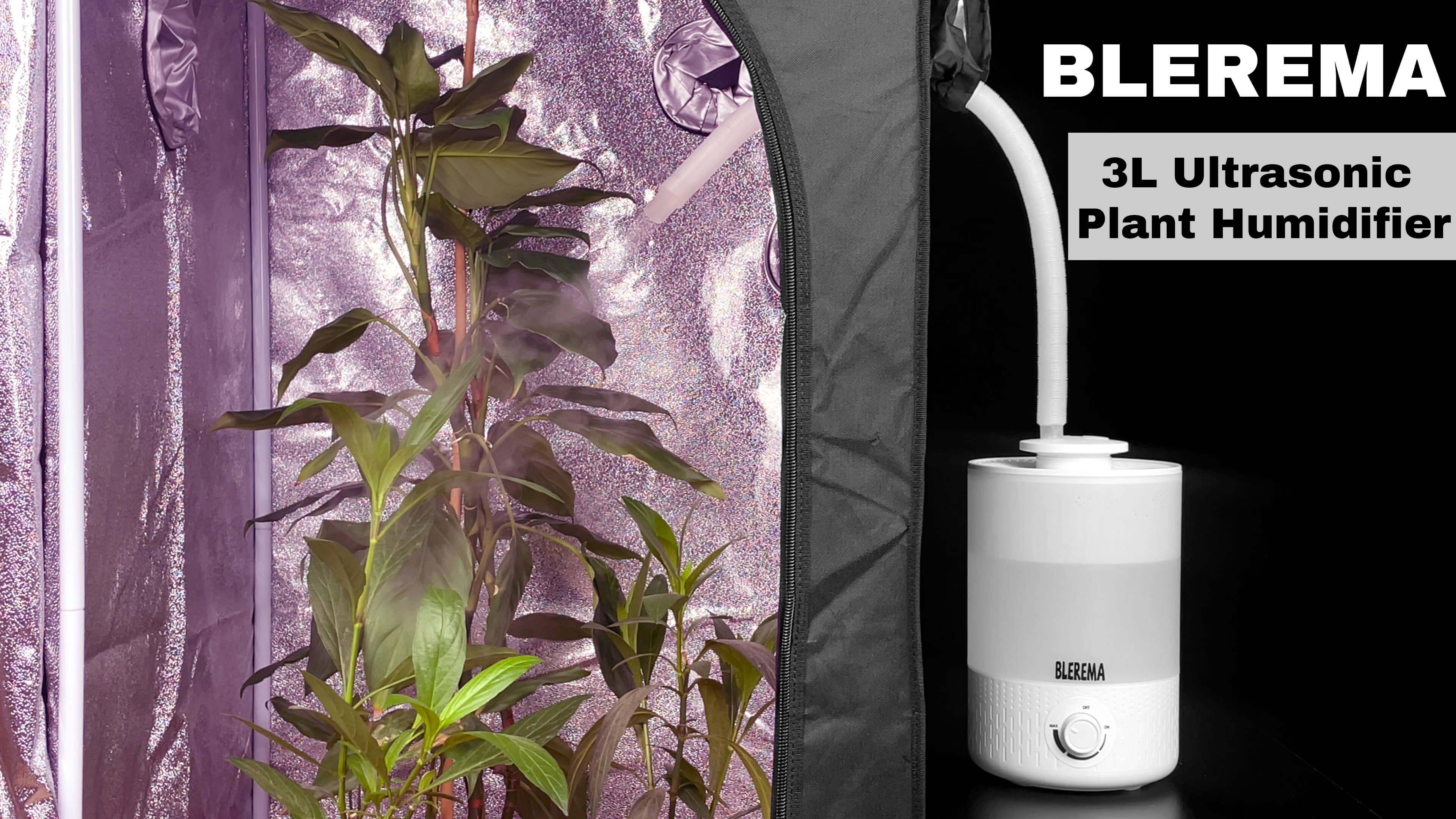 3L No Leak Plant Humidifiers for Grow Tent Greenhouse and Grow Room,  Top-Fill, Auto Shut Off, with Extendable Targeting Hose Perfect for Indoor  Plant Care and Humidity Control (Single Dual Fog Output) :