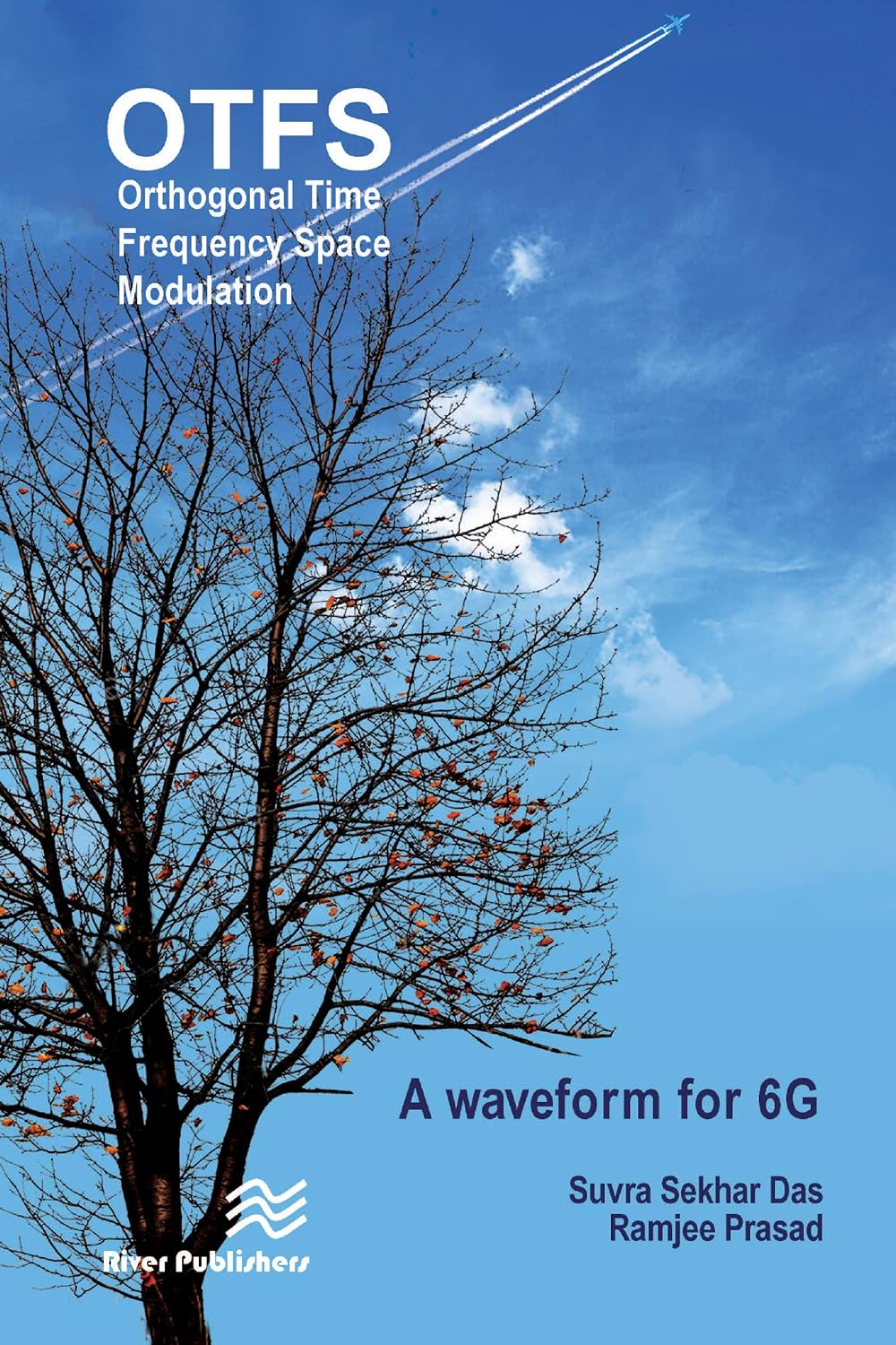 Orthogonal Time Frequency Space Modulation: OTFS a waveform for 6G ...