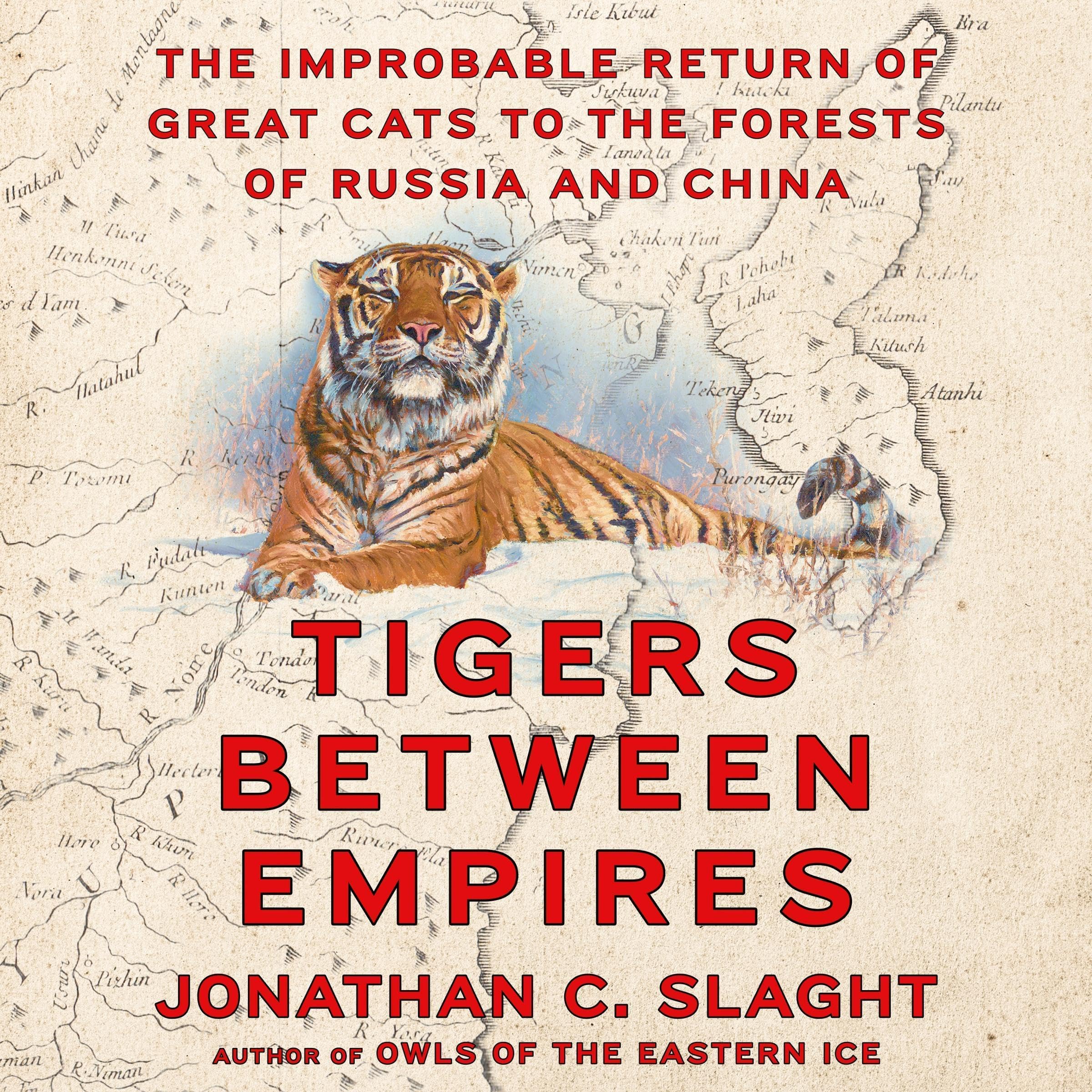 Cover art for Tigers Between Empires