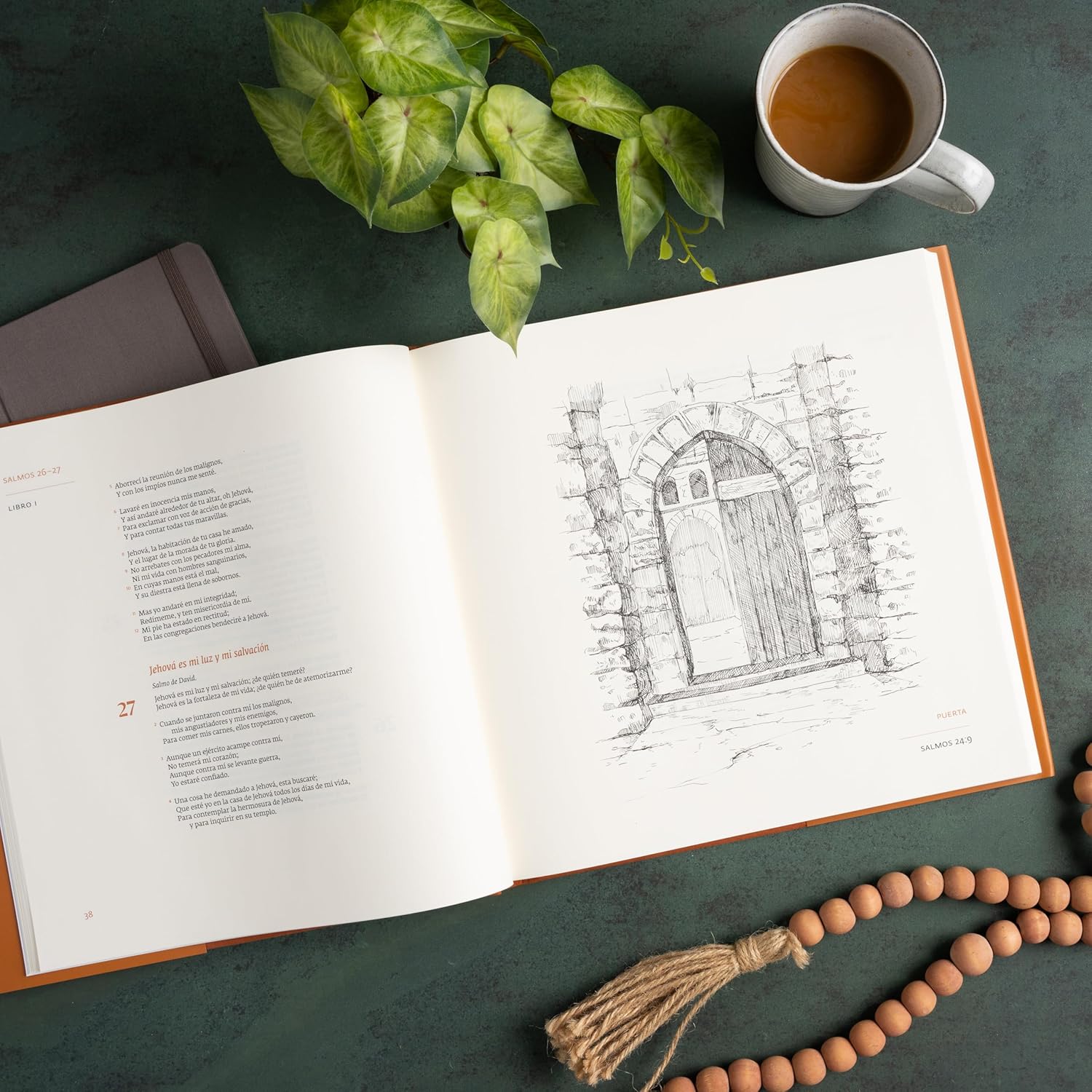 RVR 1960 Libro de Salmos Edición Ilustrada (RVR 1960 Book of Psalms Illustrated Edition) (Spanish Edition)      Hardcover – February 1, 2026