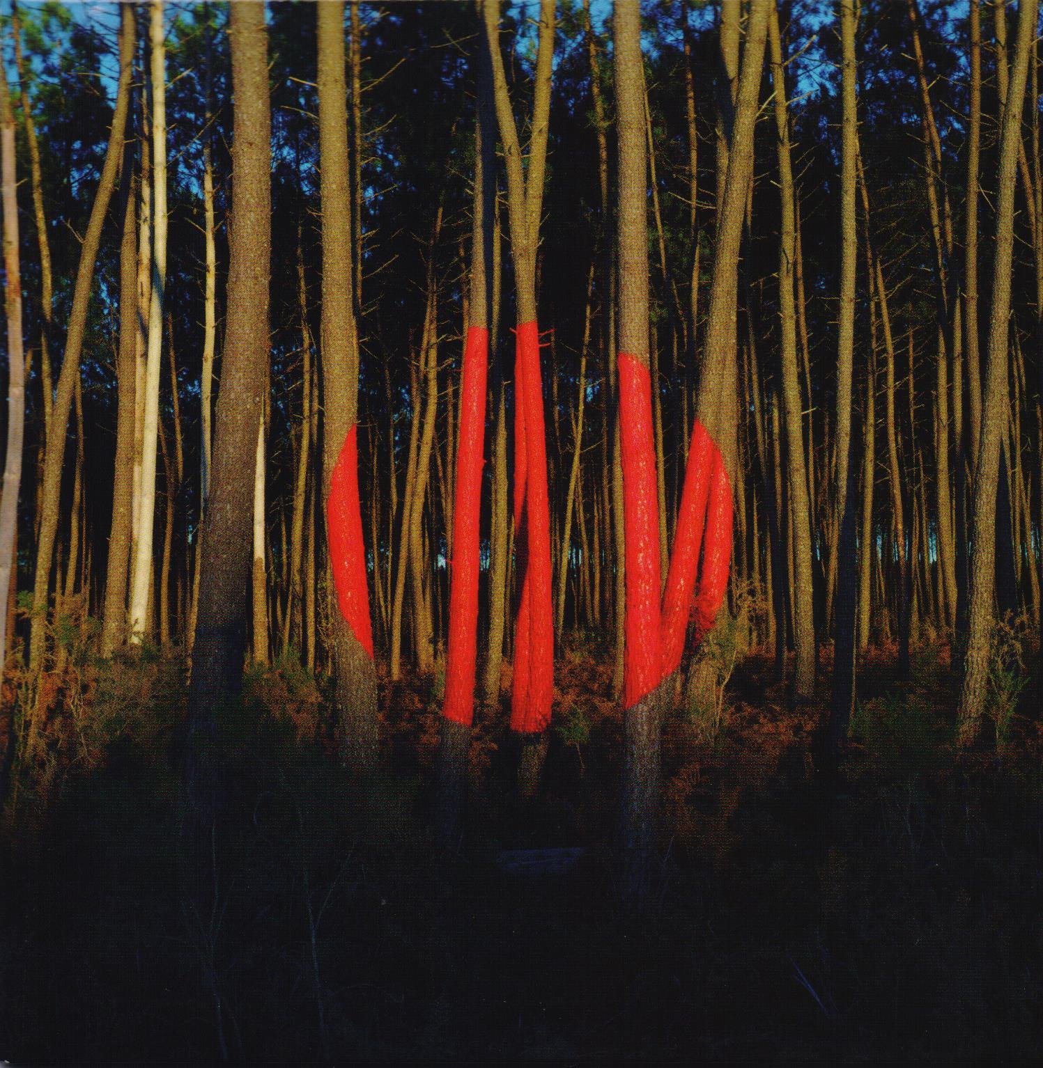 Piano Ombre by Fránçois & the Atlas Mountains (CD, 2014)