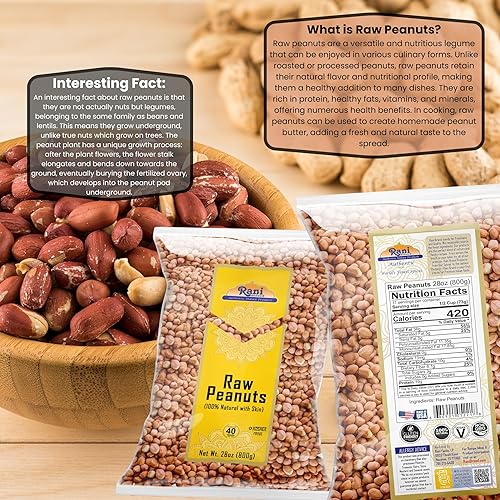 Miniatura 4 de Rani Peanuts, crudos enteros con piel (sin cocinar, sin sal), 28 onzas (28.22 oz)  Todo natural  Vegano  Apto para gluten, producto fresco de
