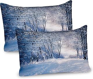 Ambesonne Winter Pillow Sham Set of 2, Alley in Snowy Forest Cold Freezing Weather Rural Nature Outdoors Woodland, Quality Microfiber Bedding Item for All Seasons, 36" x 20", Blue Black White