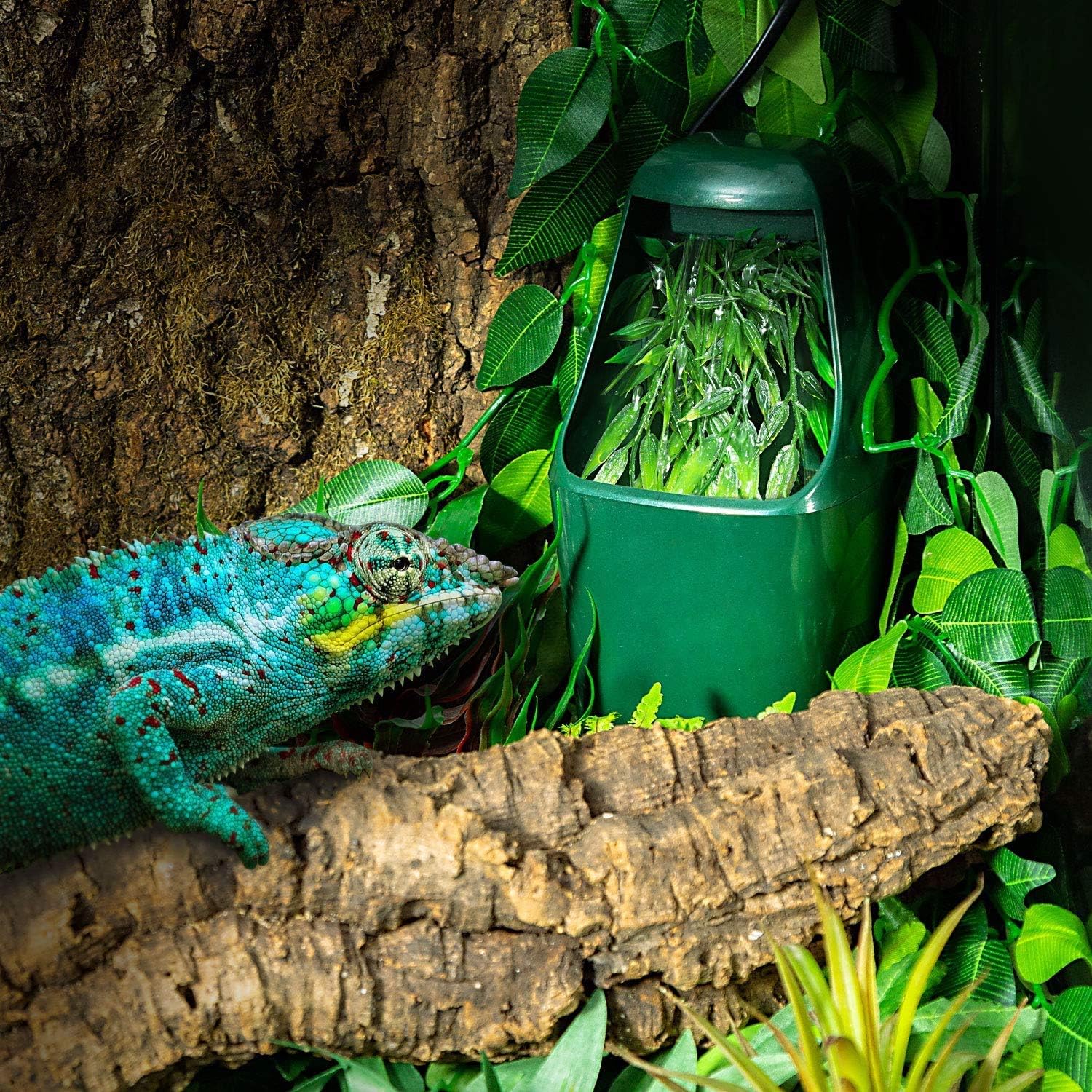reptile waterer