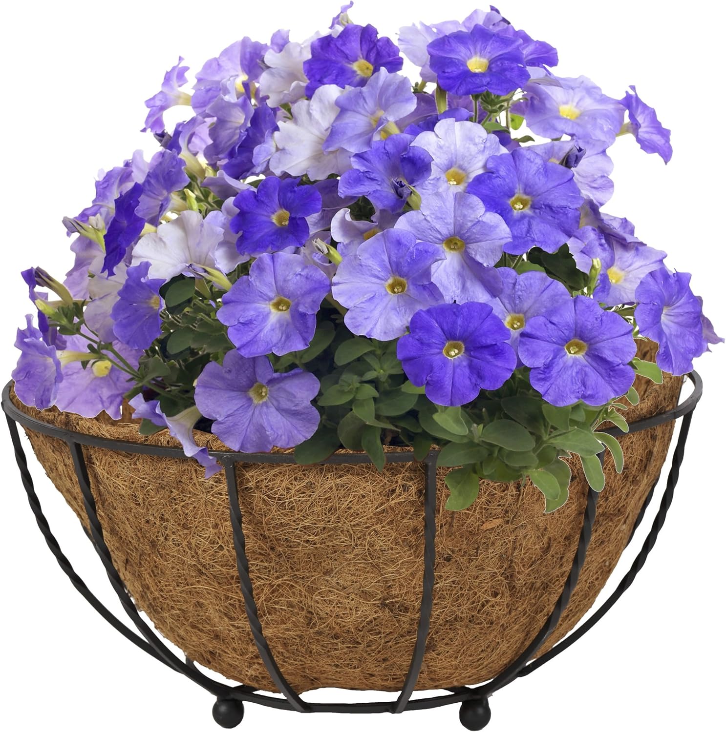 Black Canterbury Floor Planter FLPLCB-B