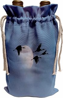3dRose USA, New Mexico. Sandhill cranes in flight, moon in sky. - Wine Bags (wbg-380988-1)