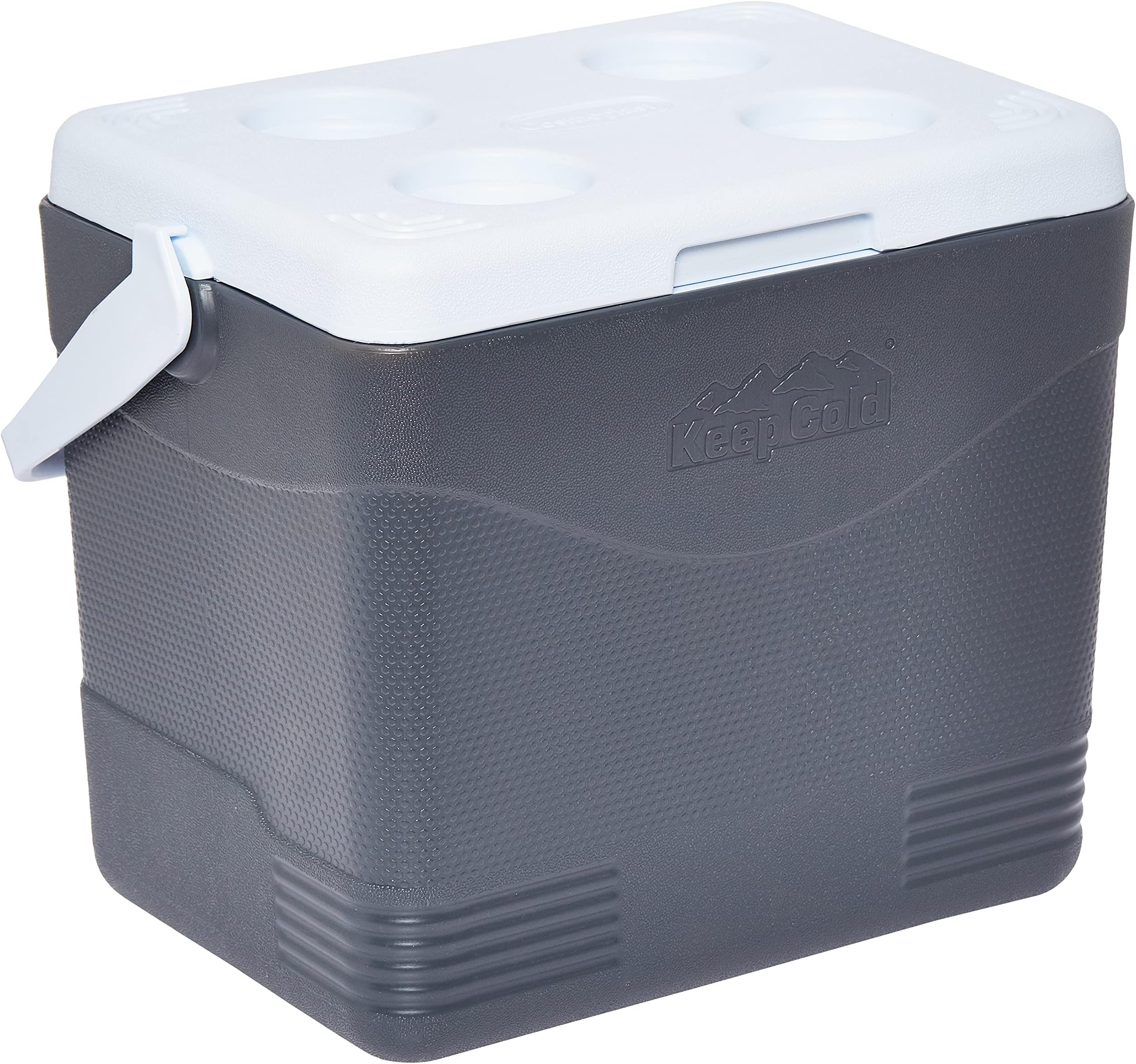 Cosmoplast Keep Cold Plastic Picnic Cooler Icebox 24 Liters