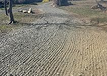 Review Image by K Kusch K Kusch