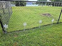 Review Image by TracyD TracyD