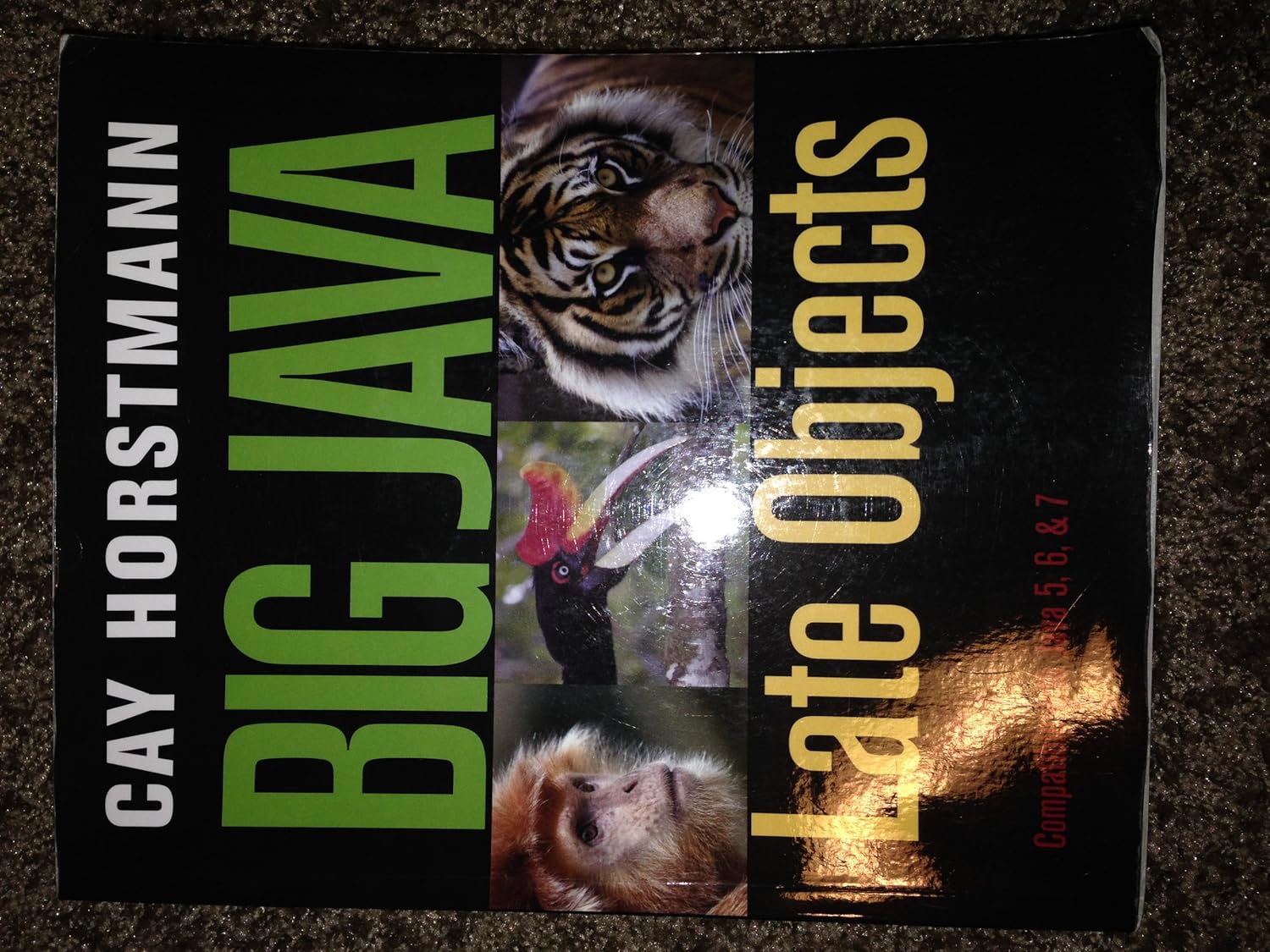 Big Java: Late Objects: Horstmann, Cay S.: 9781118087886: Amazon.com: Books