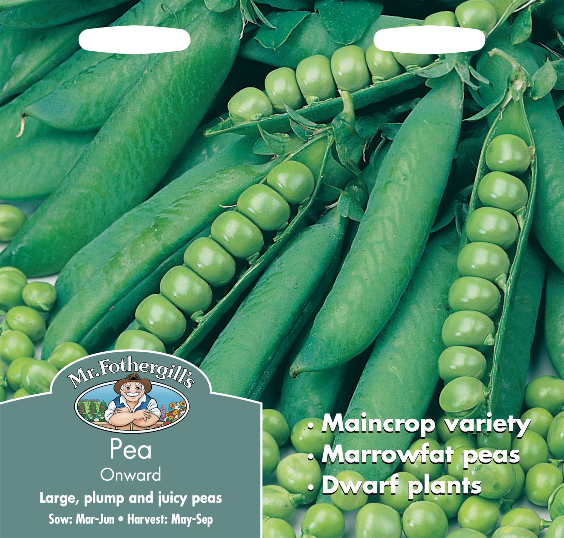 Mr Fothergills - Pictorial Packet - Vegetable - Pea Onward - 275 Seeds