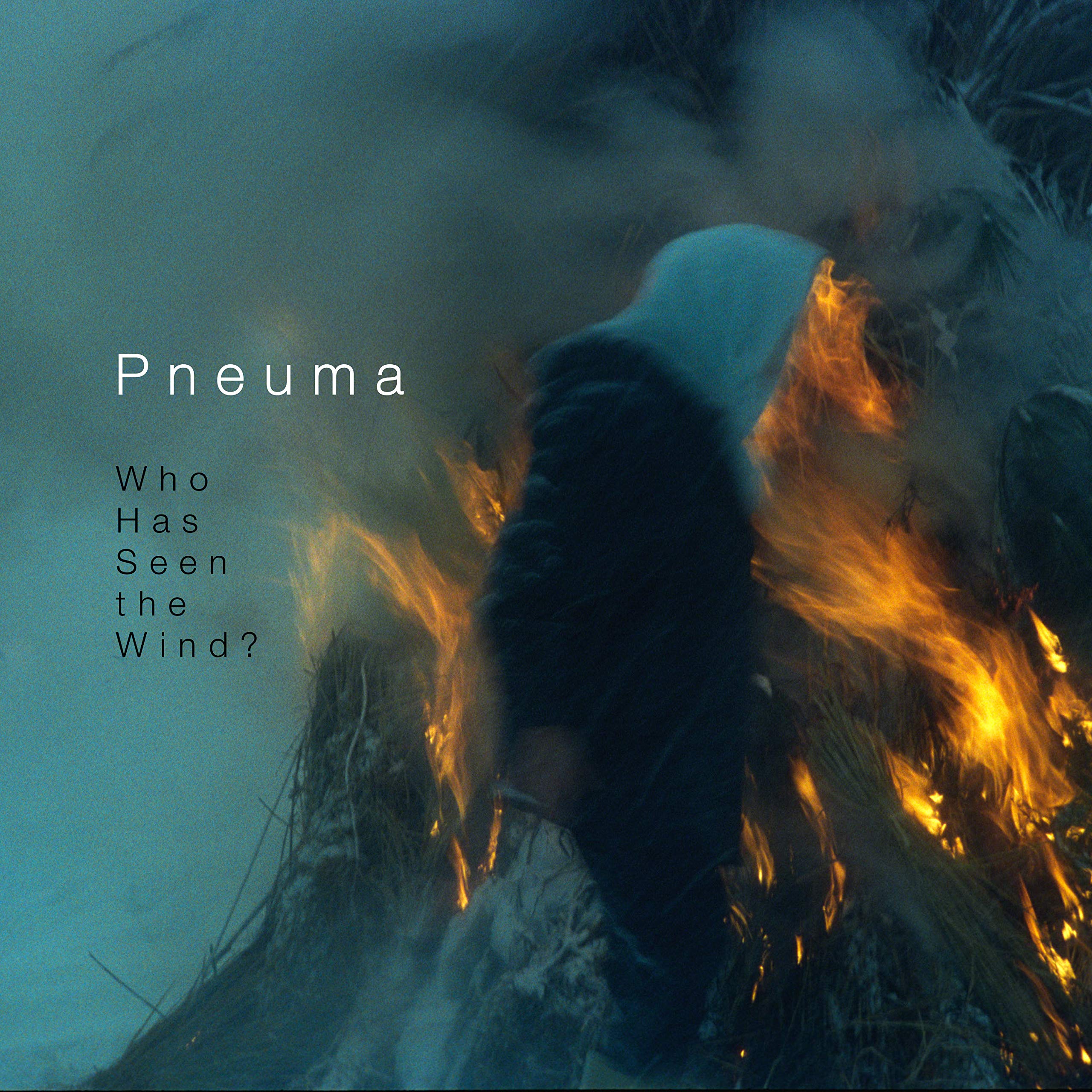Who Has Seen The Wind? [Audio CD] Pneuma