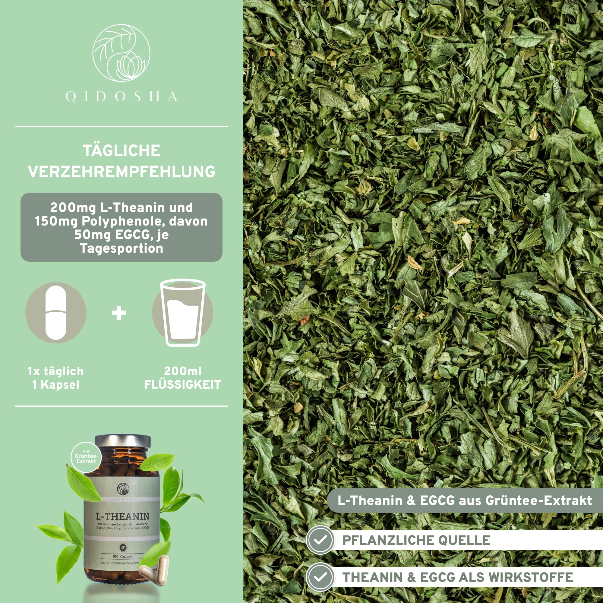 QIDOSHA® L-Theanin & EGCG aus Grüntee-Extrakt, 180 Kapseln im Apothekerglas, 500mg je Kapsel, davon 40% L-Theanin, 30% Tee-Polyphenole & 10% EGCG, Wirkstoffgehalt in externem Labor testiert