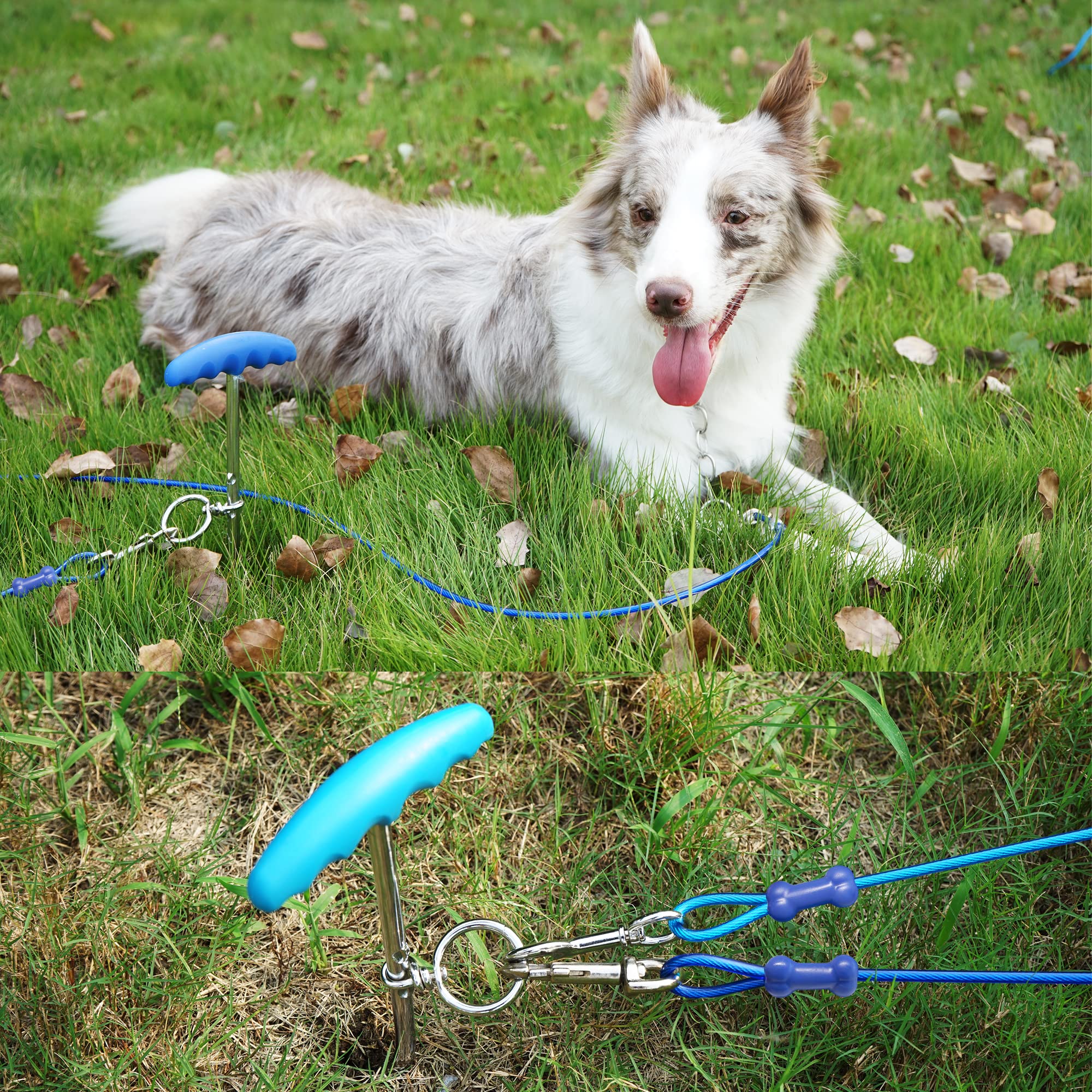 Petphabt - Cavo resistente per cani da 3 m, con spirale per cani da 16 cm, per cuccioli, animali domestici, guinzaglio per esterni (verde acqua)