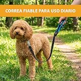 Ver la foto 8
