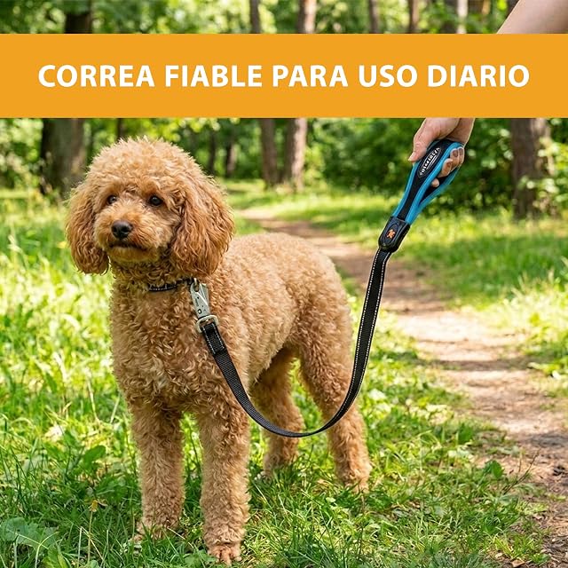 Foto 8 de 8 de Ferplast Correa para Perro ERGOFLUO Matic, para Perros pequeños, Innovador mosquetón con Mecanismo magnético