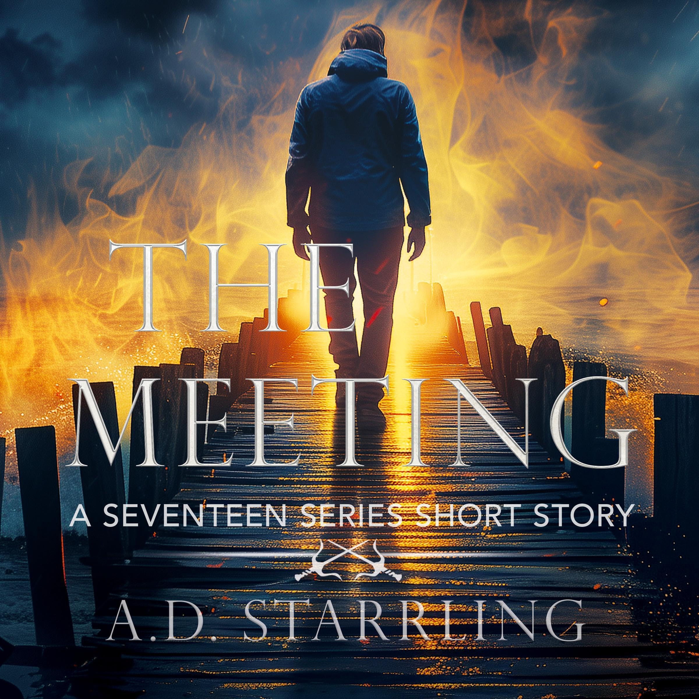 Cover art for The Meeting