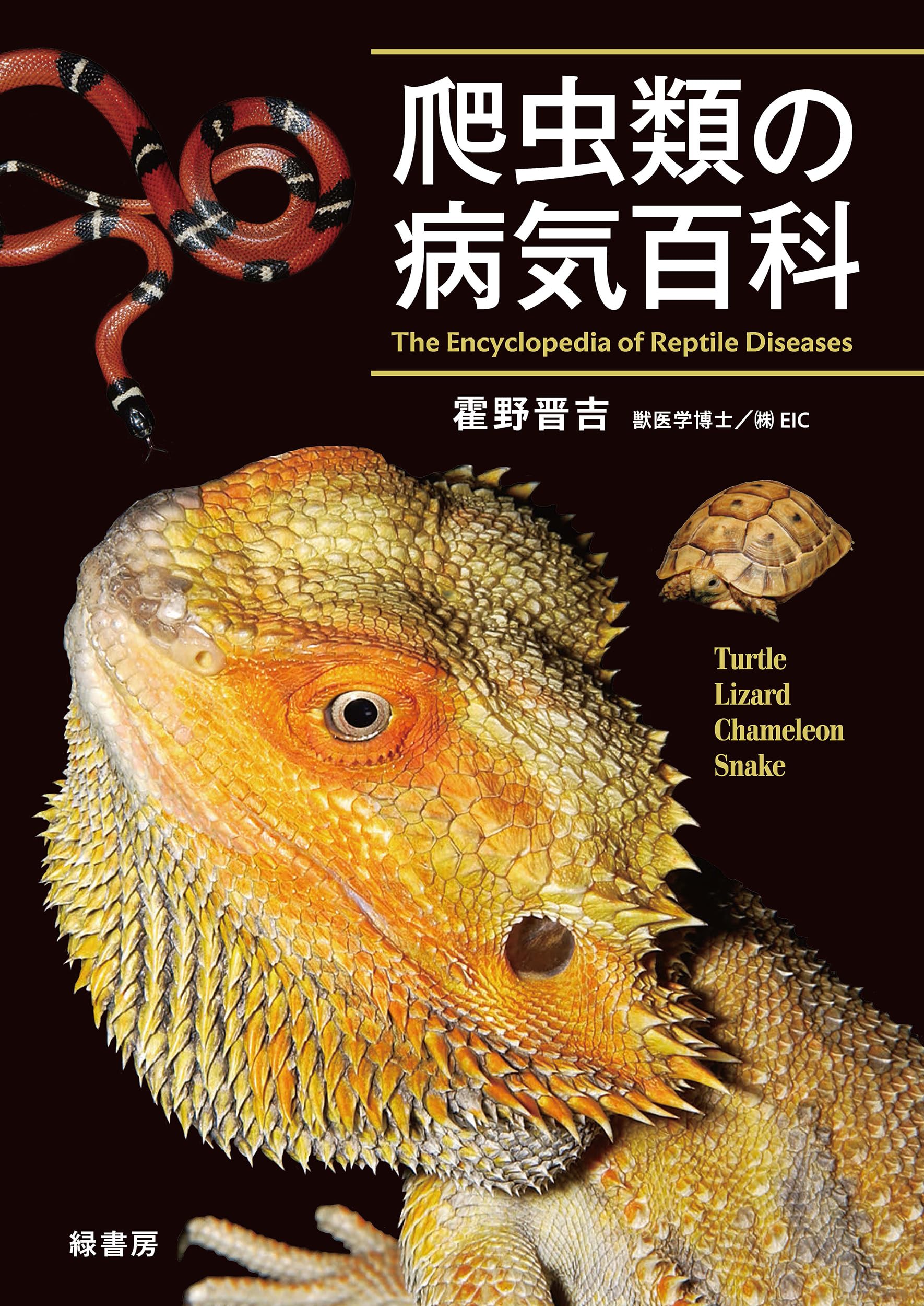 爬虫類の病気百科 | 霍野 晋吉 |本 | 通販 | Amazon