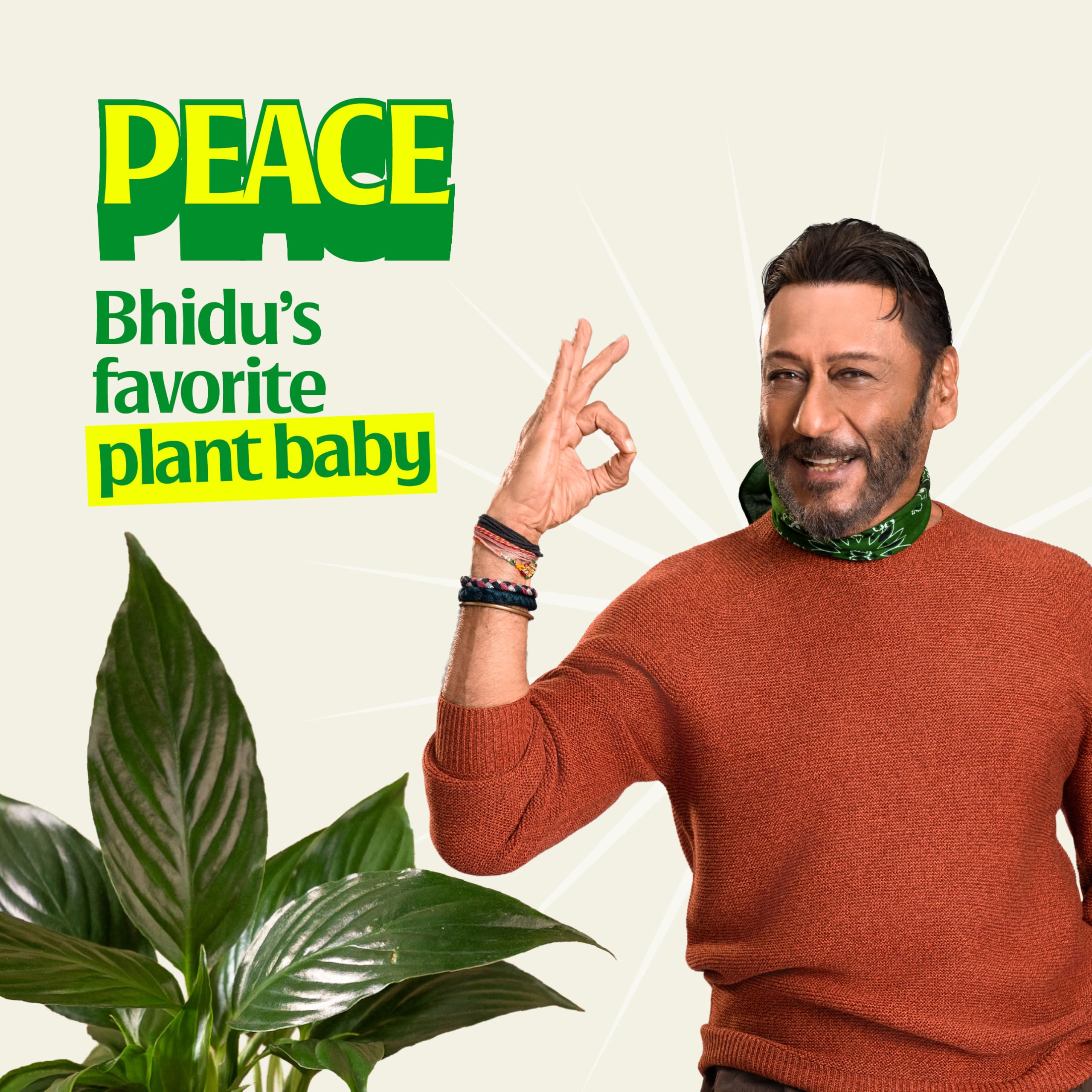 Ugaoo 4-Plant Indoor Combo - Office & Home Decor -2