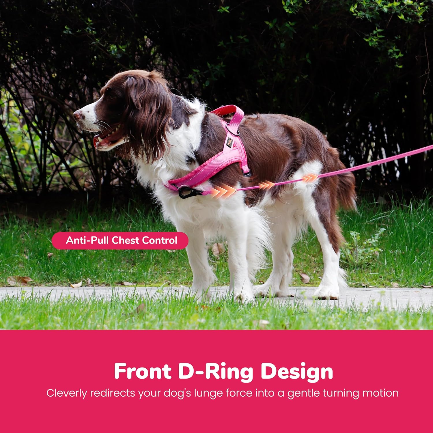 Didog No Pull Dog Harness with Breathable Mesh Padded,Reflective & Quick Fit Light Weight Dog Strap Vest Harness,Easy for Walking Training (S:Chest 18-22", Pink)