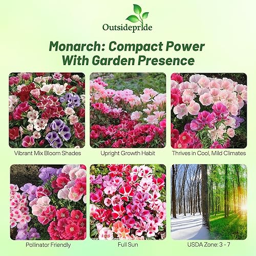 Miniatura 10 de Outsidepride 10000 semillas anuales Godetia Sybil Semillas de flores de salmón para plantar