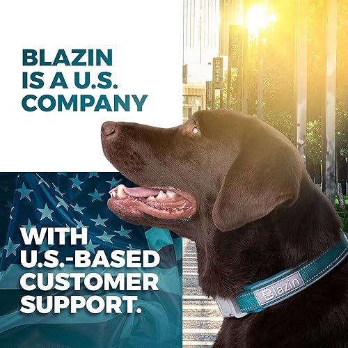 Miniatura 8 de BLAZIN Collar reflectante para perro 'O So Comfy' con ribetes Reflectech para una visibilidad superior por la noche, diseño de junta tórica y
