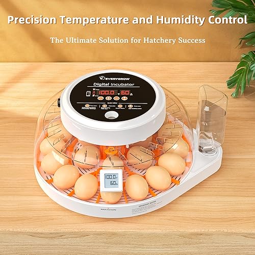 Miniatura 2 de Incubadora de 22 huevos para incubar huevos con pantalla de humedad, girador automático de huevos y probador de velas de huevos, incubadoras de