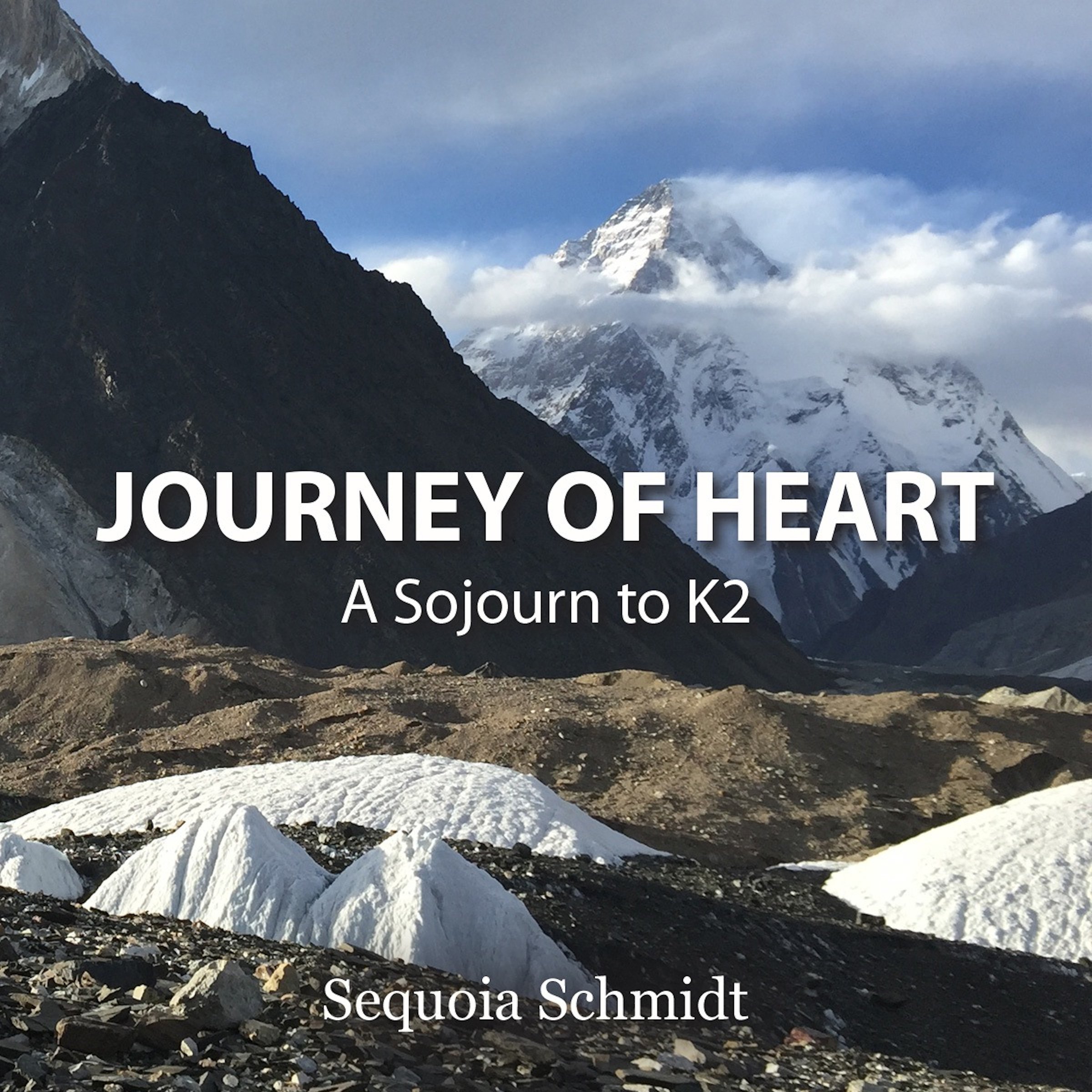 Cover art for Journey of Heart