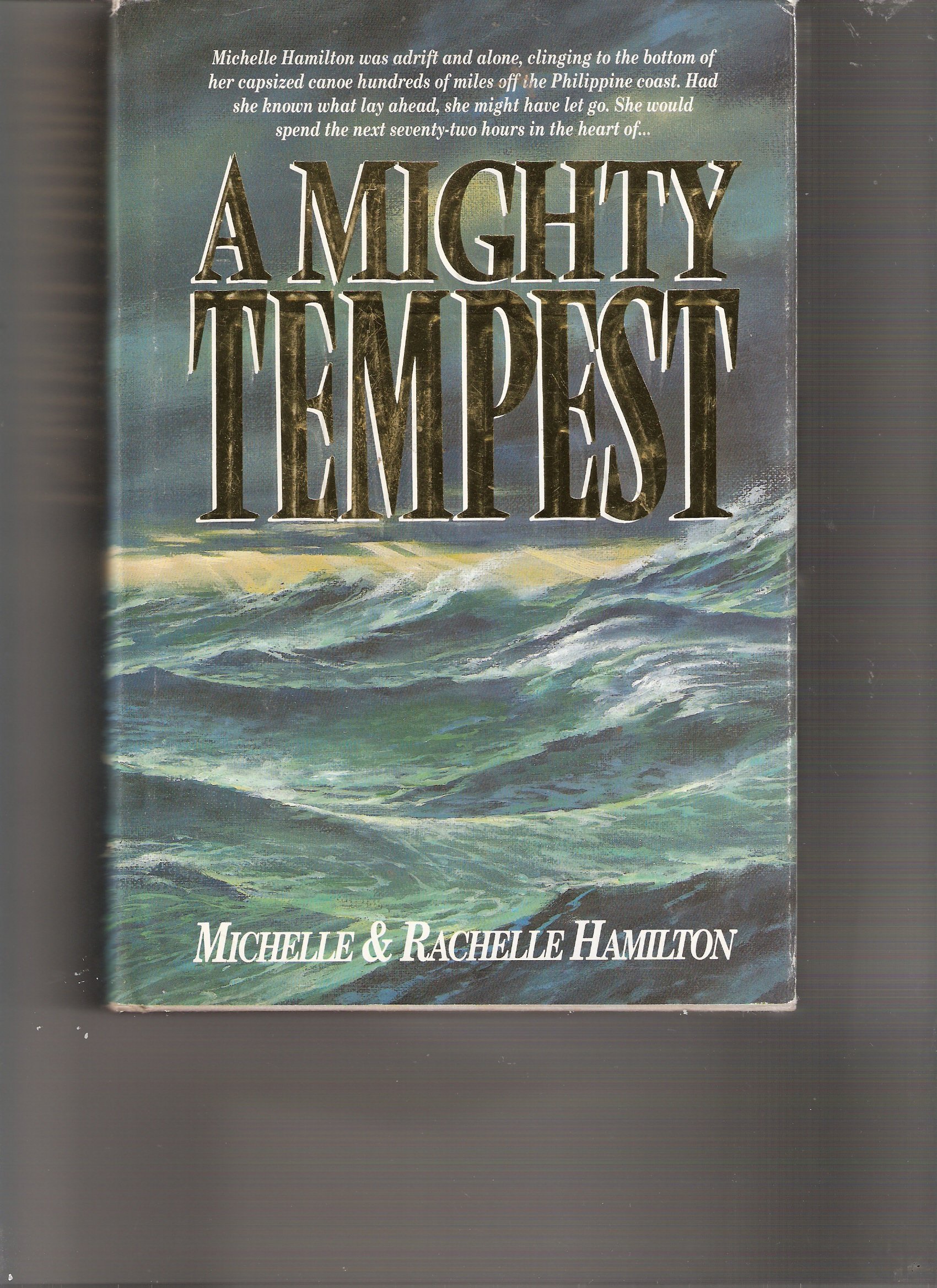 Cover of A mighty tempest