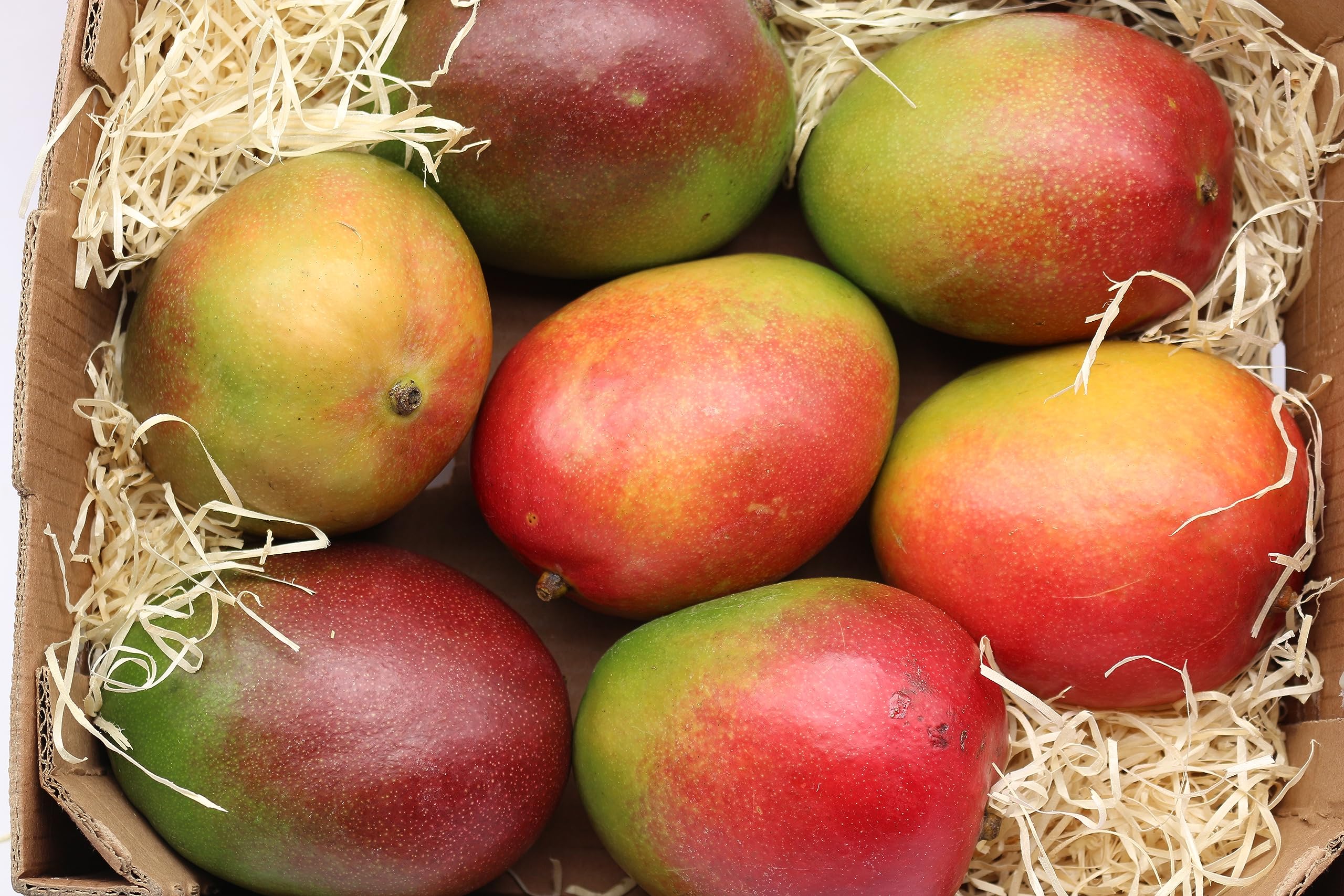 BAMELO® Mango frische exotiche Mangos Box 7 Stück