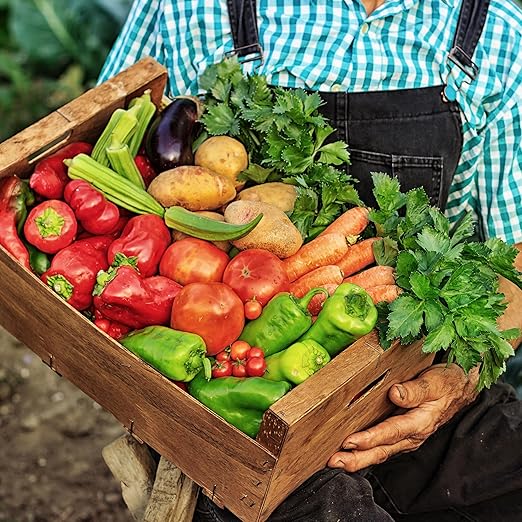 Fertilizante Orgánico para Tomates y Vegetales 4.5 Lb miniatura 4