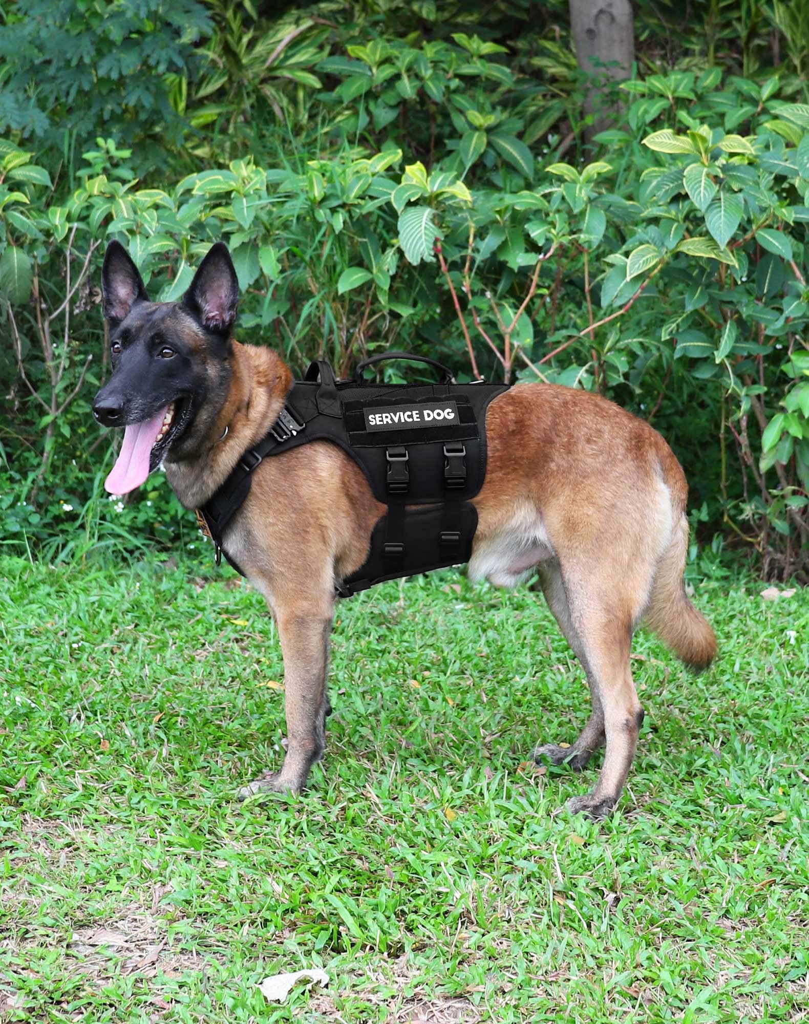 Arnés táctico para perros grandes (negro, XL)