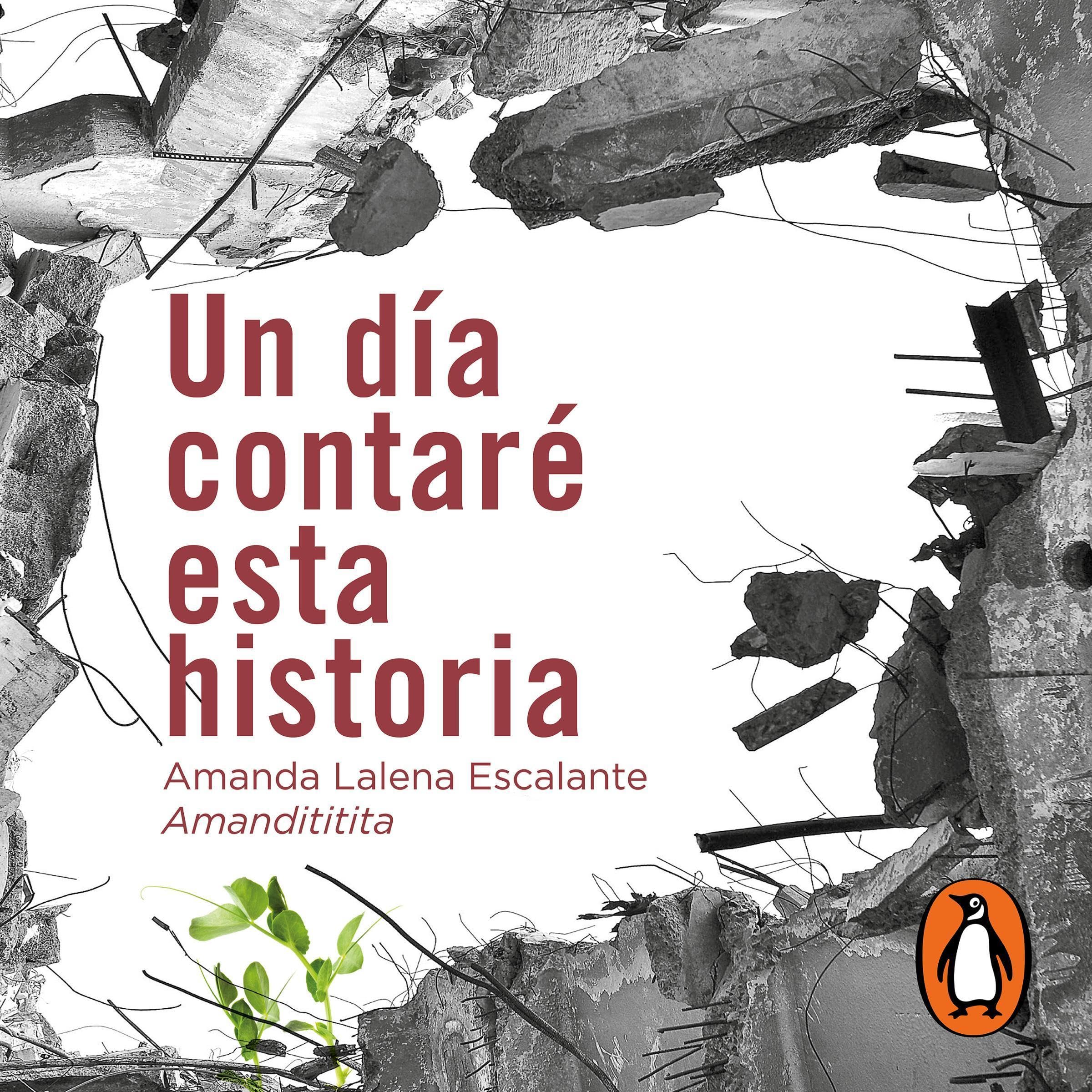 Cover art for Un día contaré esta historia